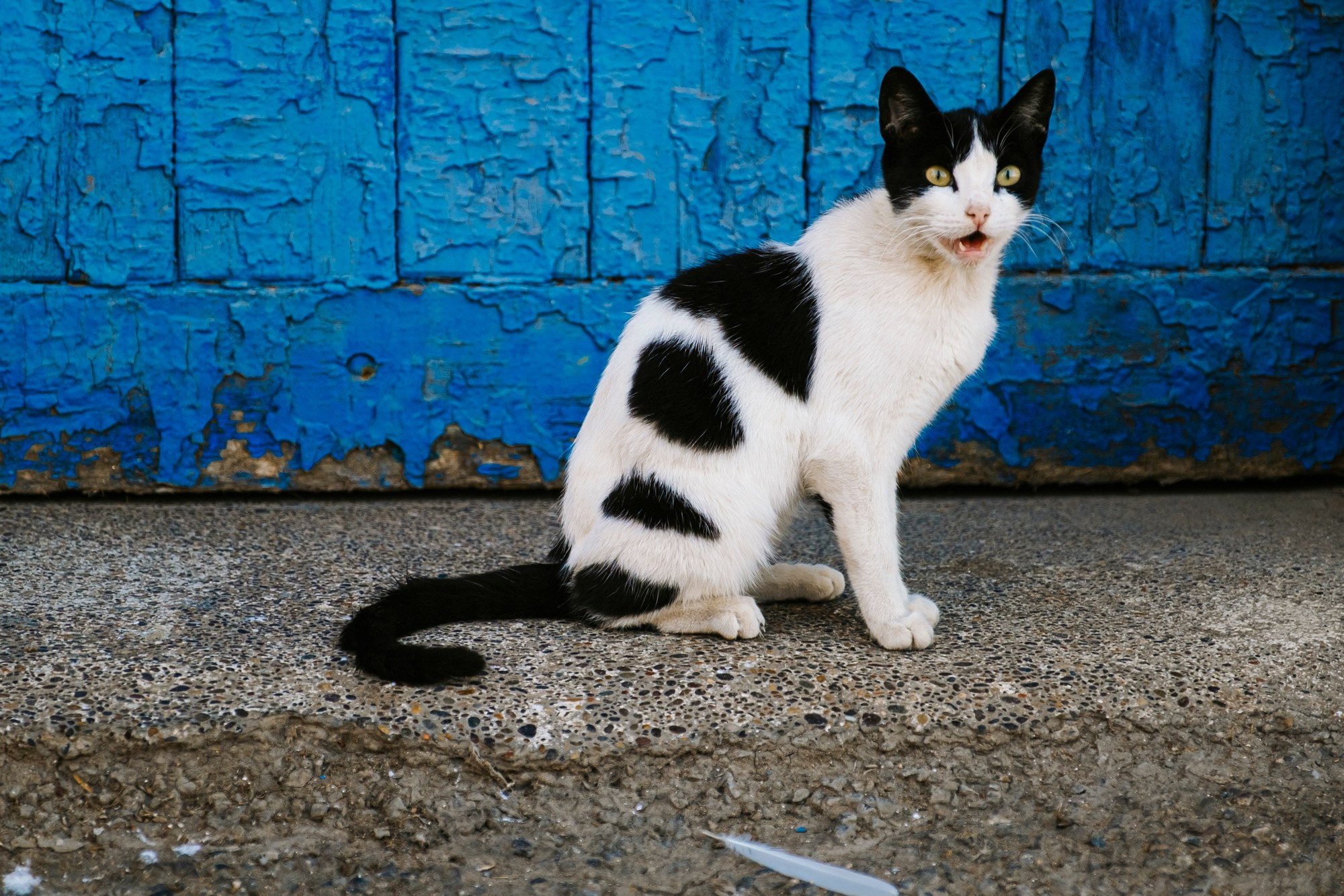 Марокко | город Эссуэйра. #фотокаквкино | Фотографирую людей