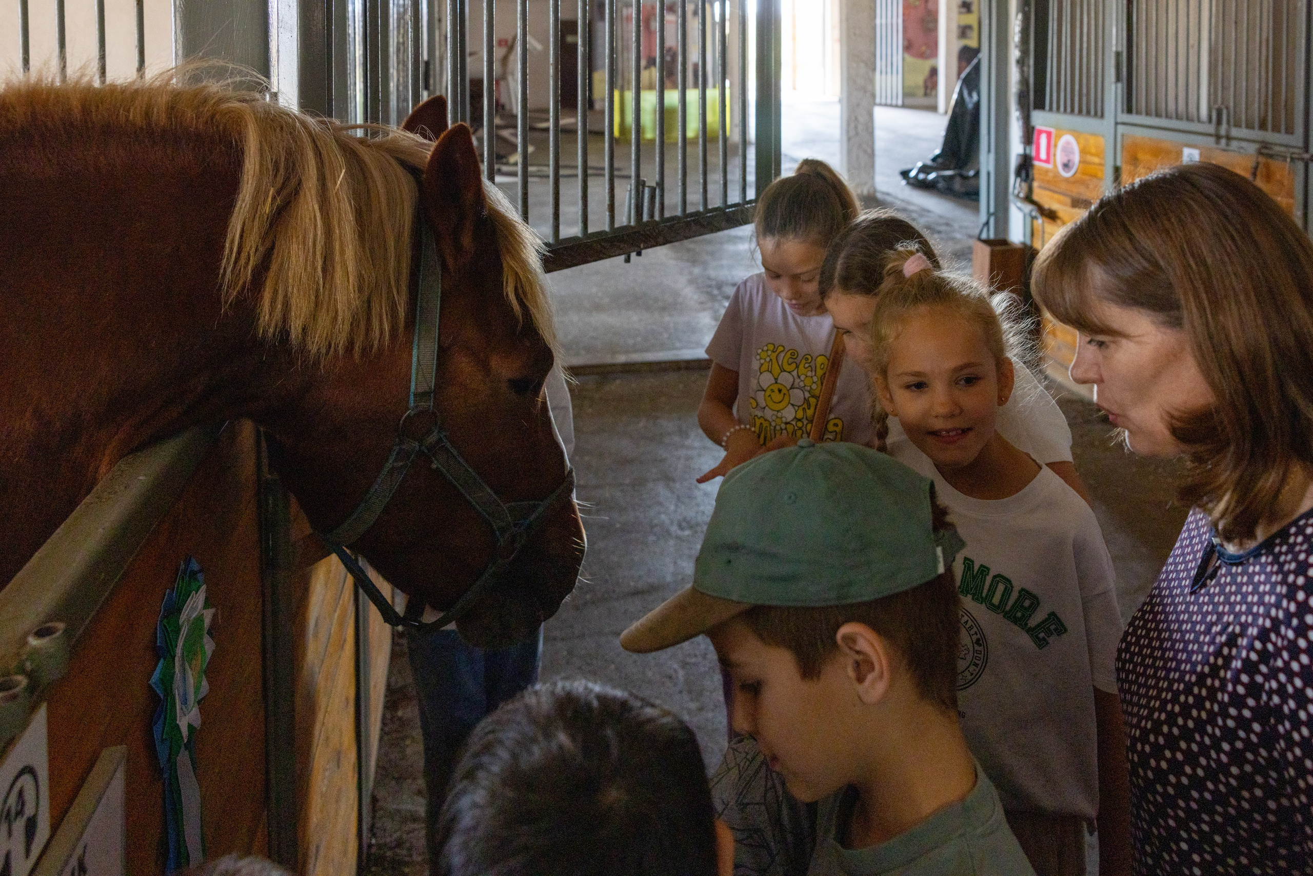 Поездка на поле Кулеково. Фотограф в Туле Крупский АнДРей. Фотостудия «КАДР71» в Туле
