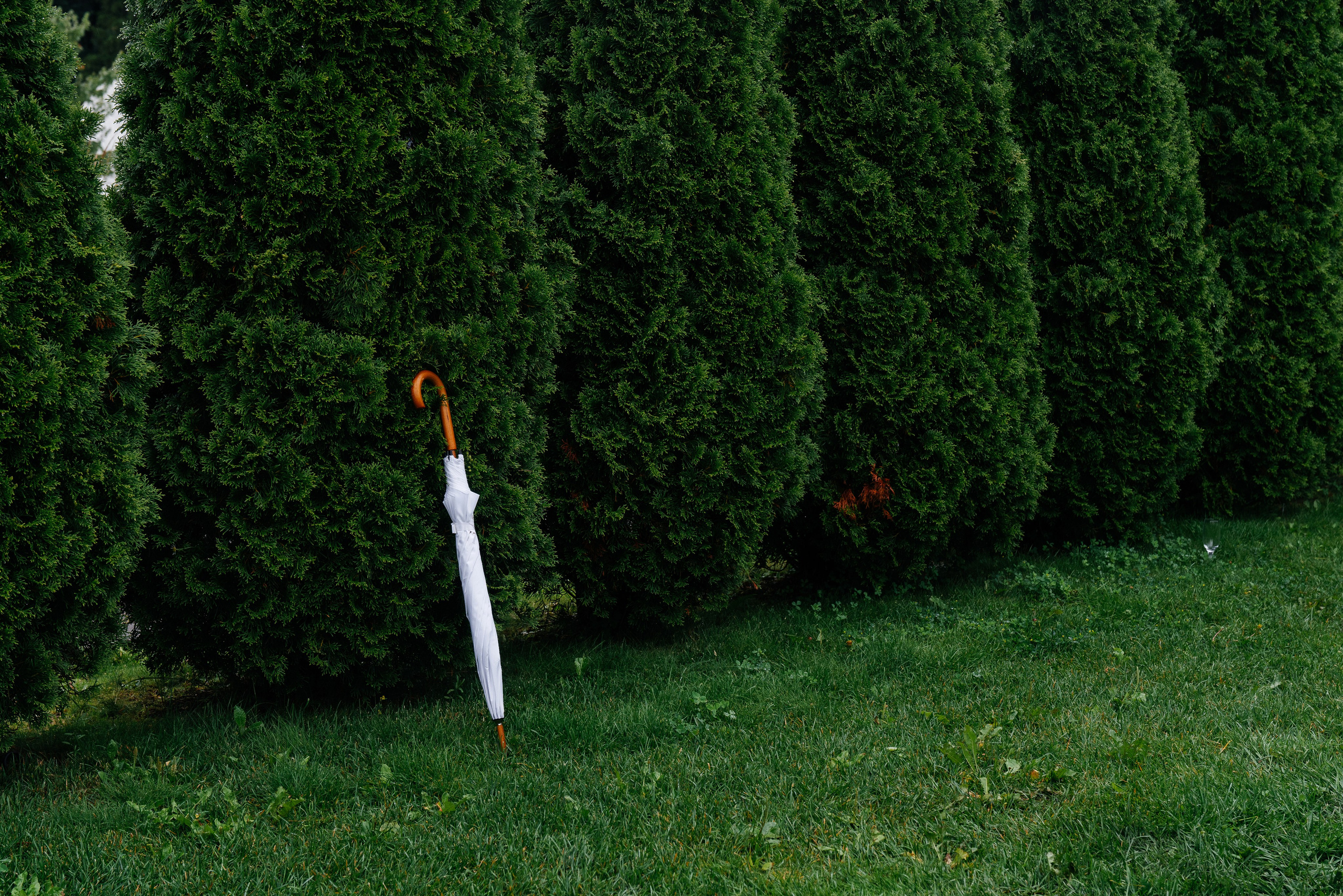 Свадьба Артем и Мария. Свадебный фотограф в Москве и по всему Миру Андрей Медведников