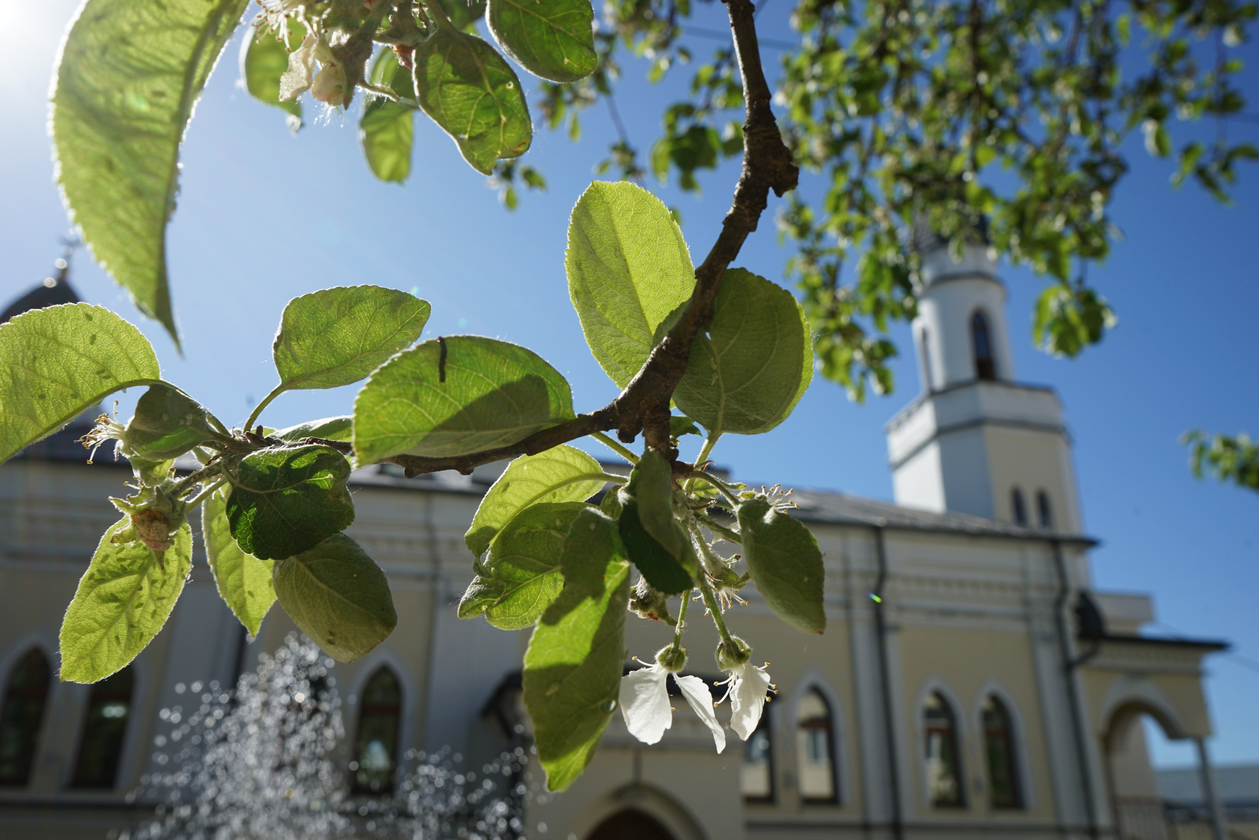 Портфолио. ЯФотограф / Фотограф Ярославль, хорошие цены услуги качество на фото и фотосессии