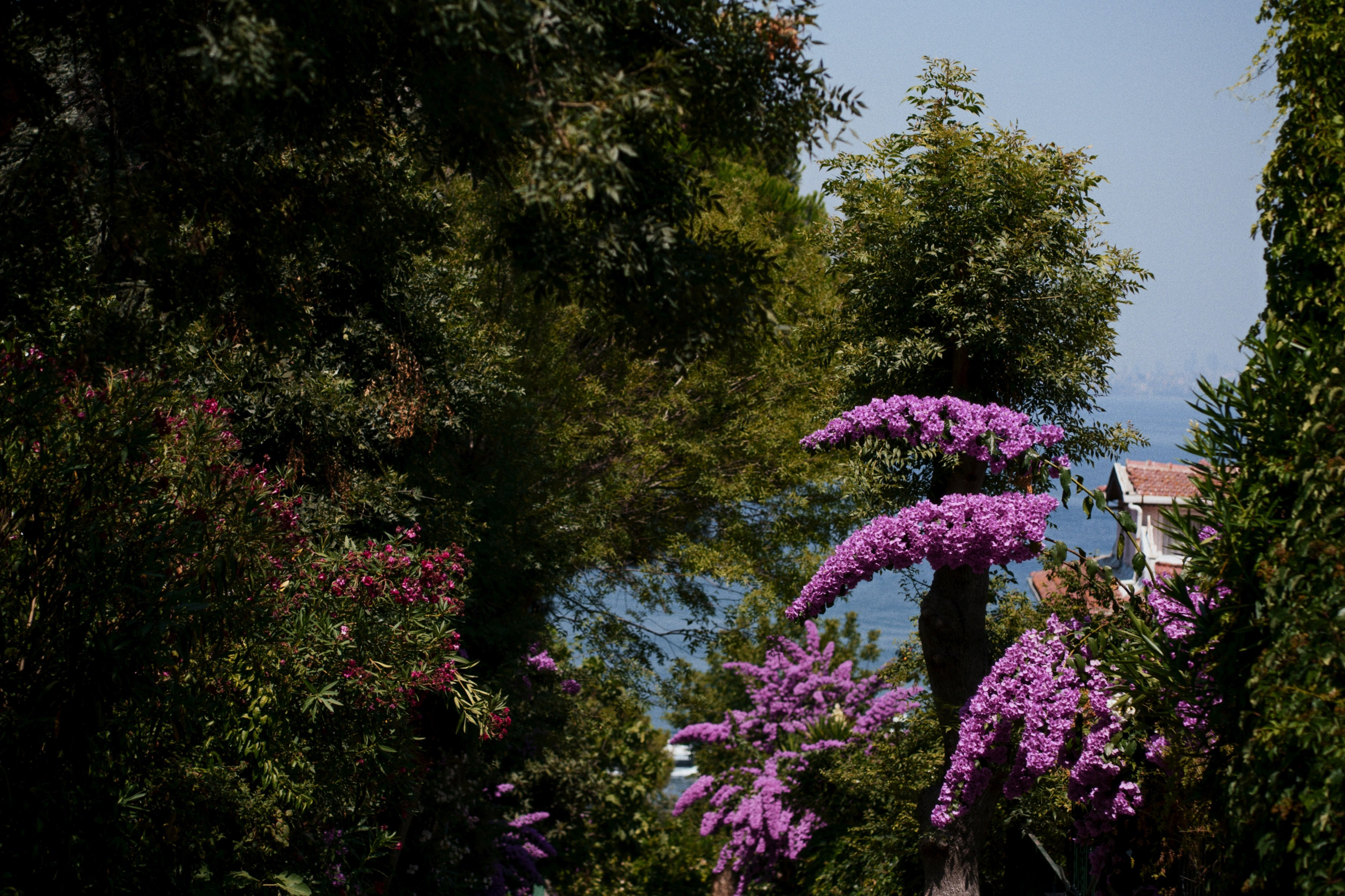 Büyükada х Heybeliada, Istanbul / Türkey SS25. Фотограф Юрин Евгений