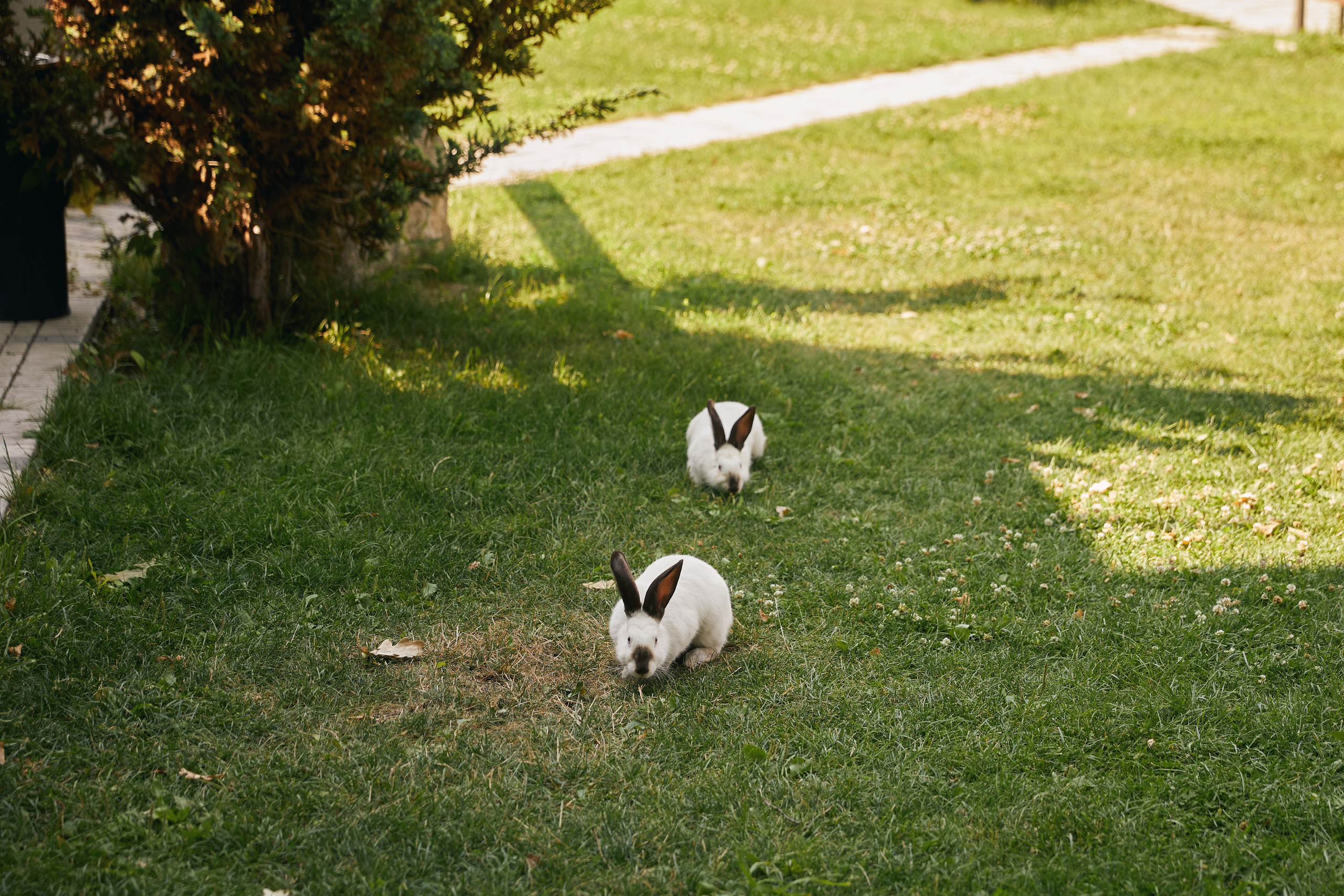 Ирина и Кирилл