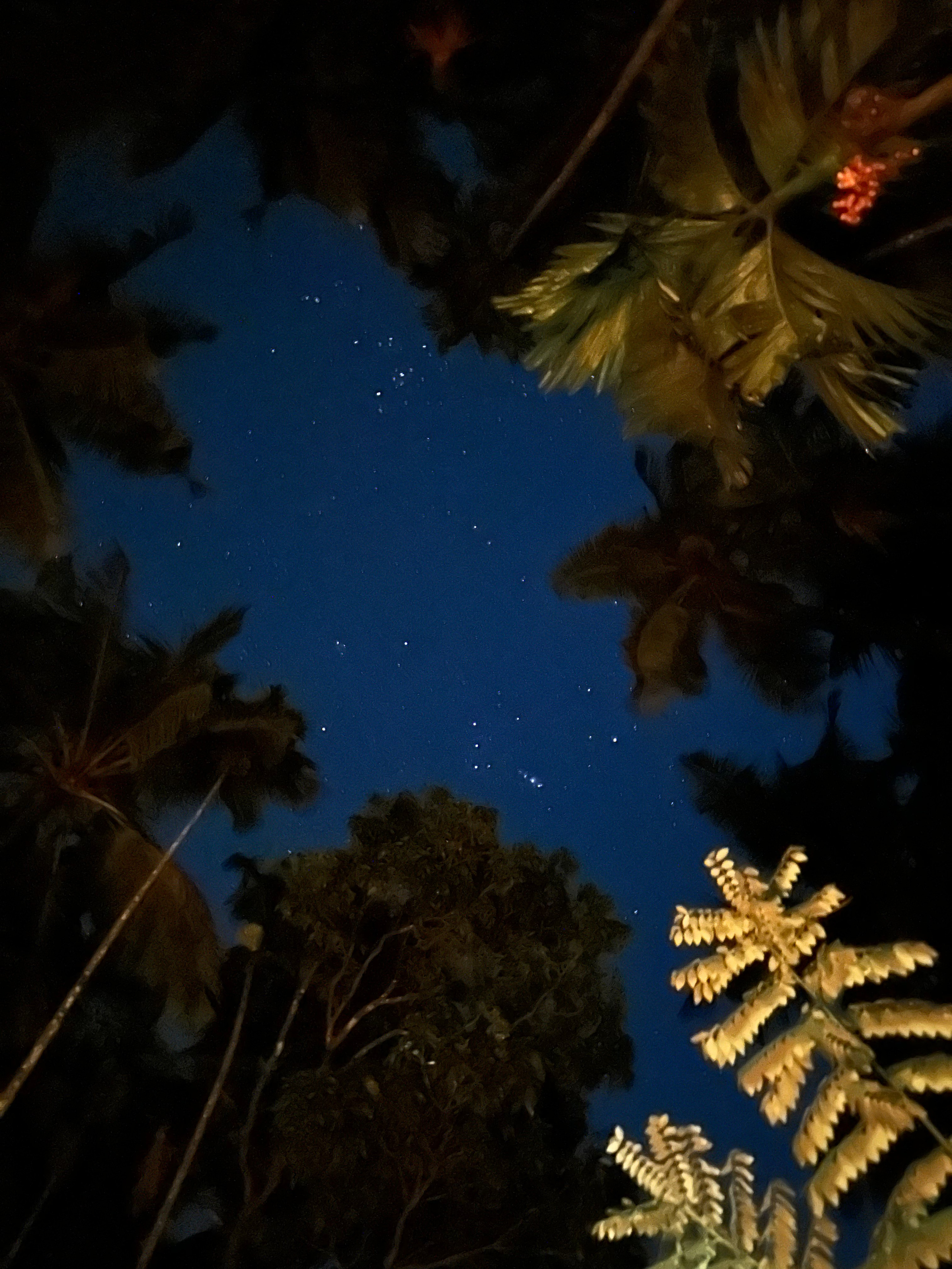 Ретрит в Гоа. Женские даосские практики