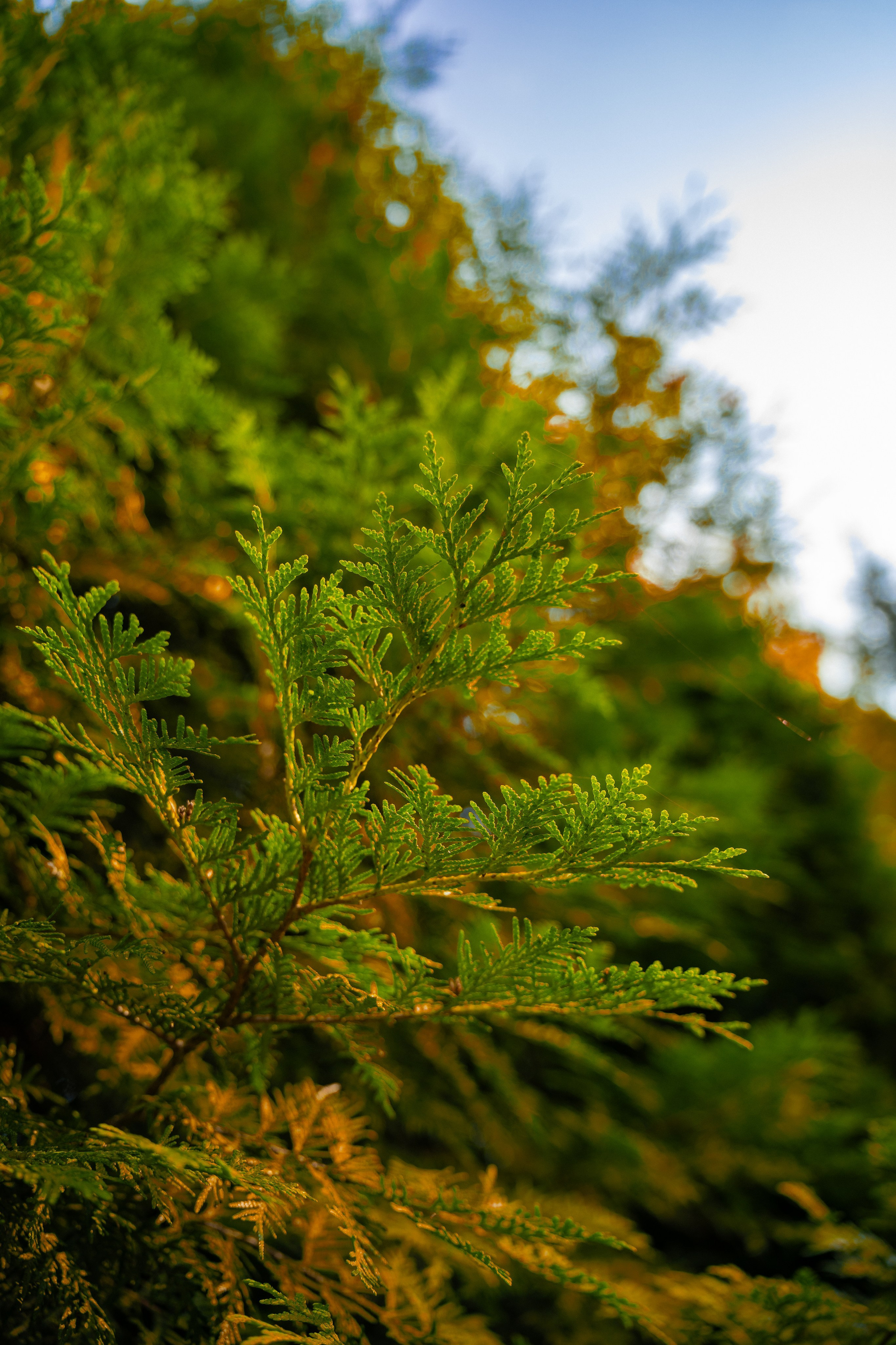 ATMOSPHERE. Фотограф Юрина Ксения Москва