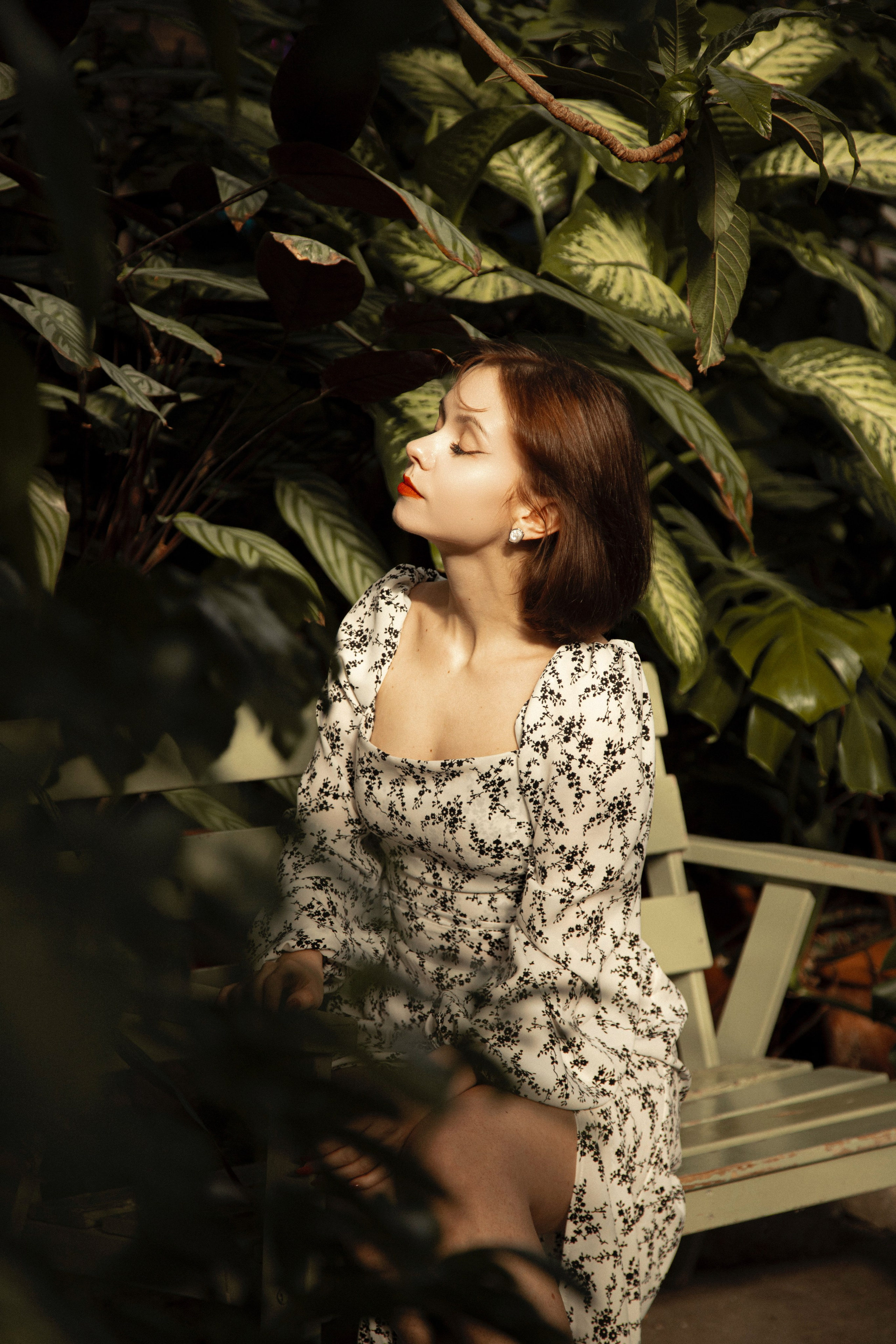 Оранжерея Таврического сада