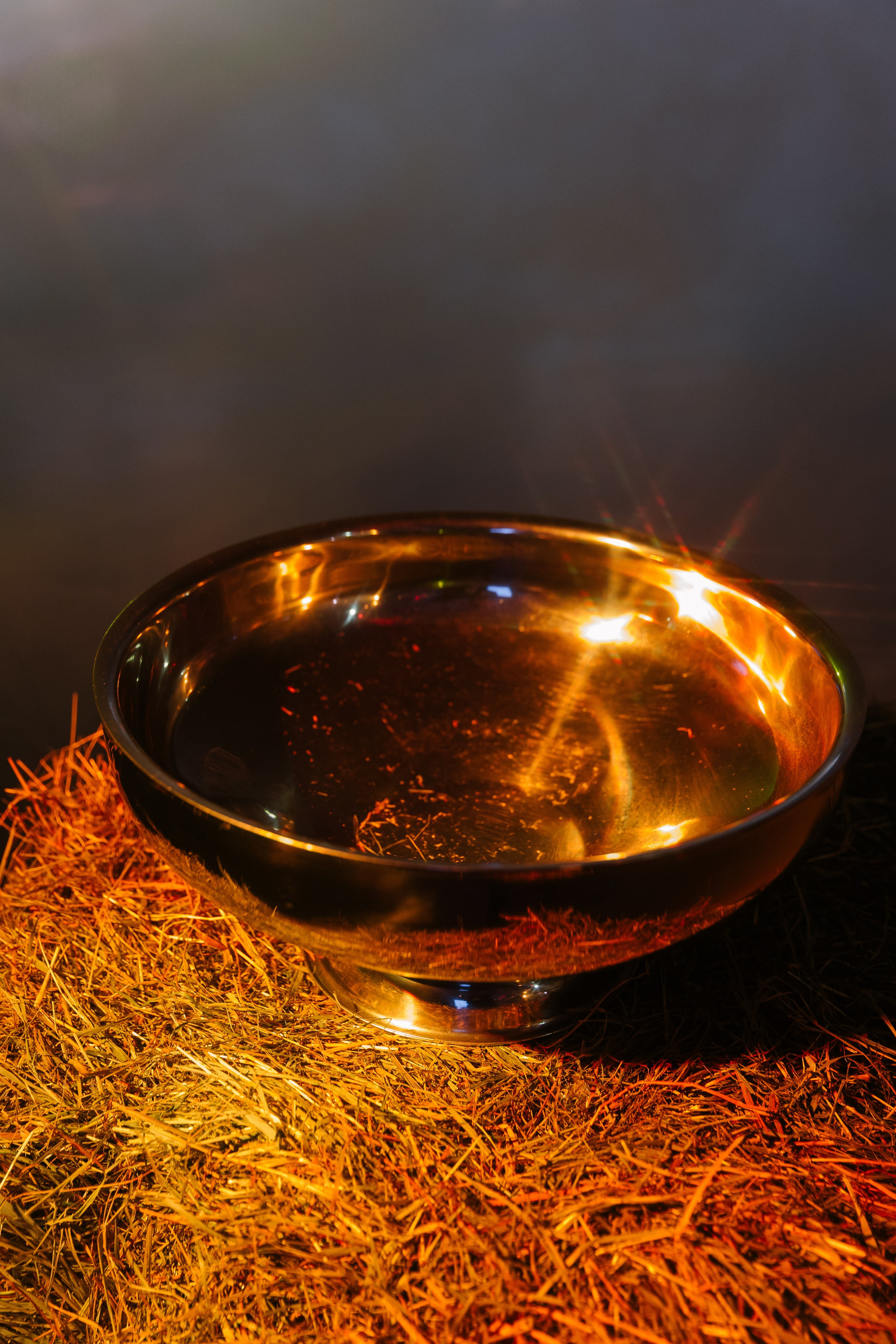 МЕГАДЕВИЧНИК 8 марта. Портфолио свадебного фотографа. Роман Каргаполов