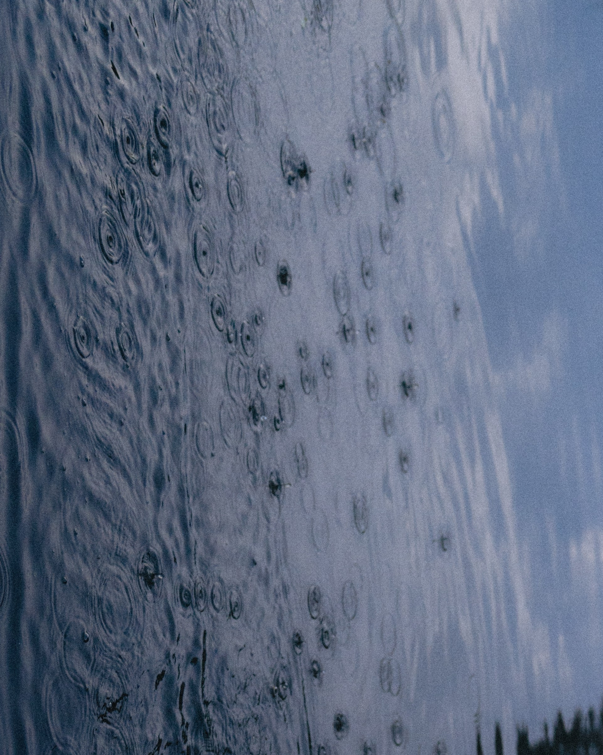 Между маем и июнем. Фотограф Москва Селюкова Юлия