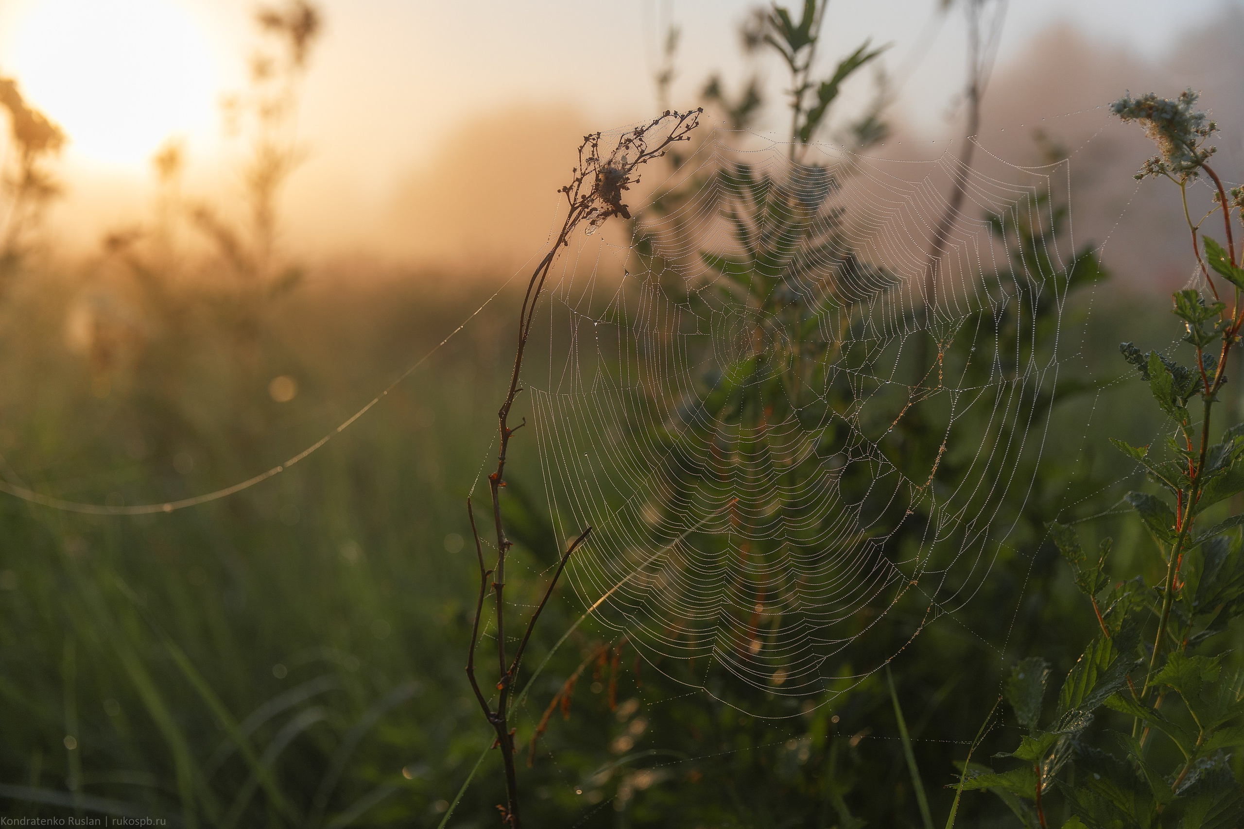 Ленинградская область. Архитектурный и пейзажный фотограф Кондратенко Руслан, Санкт-Петербург