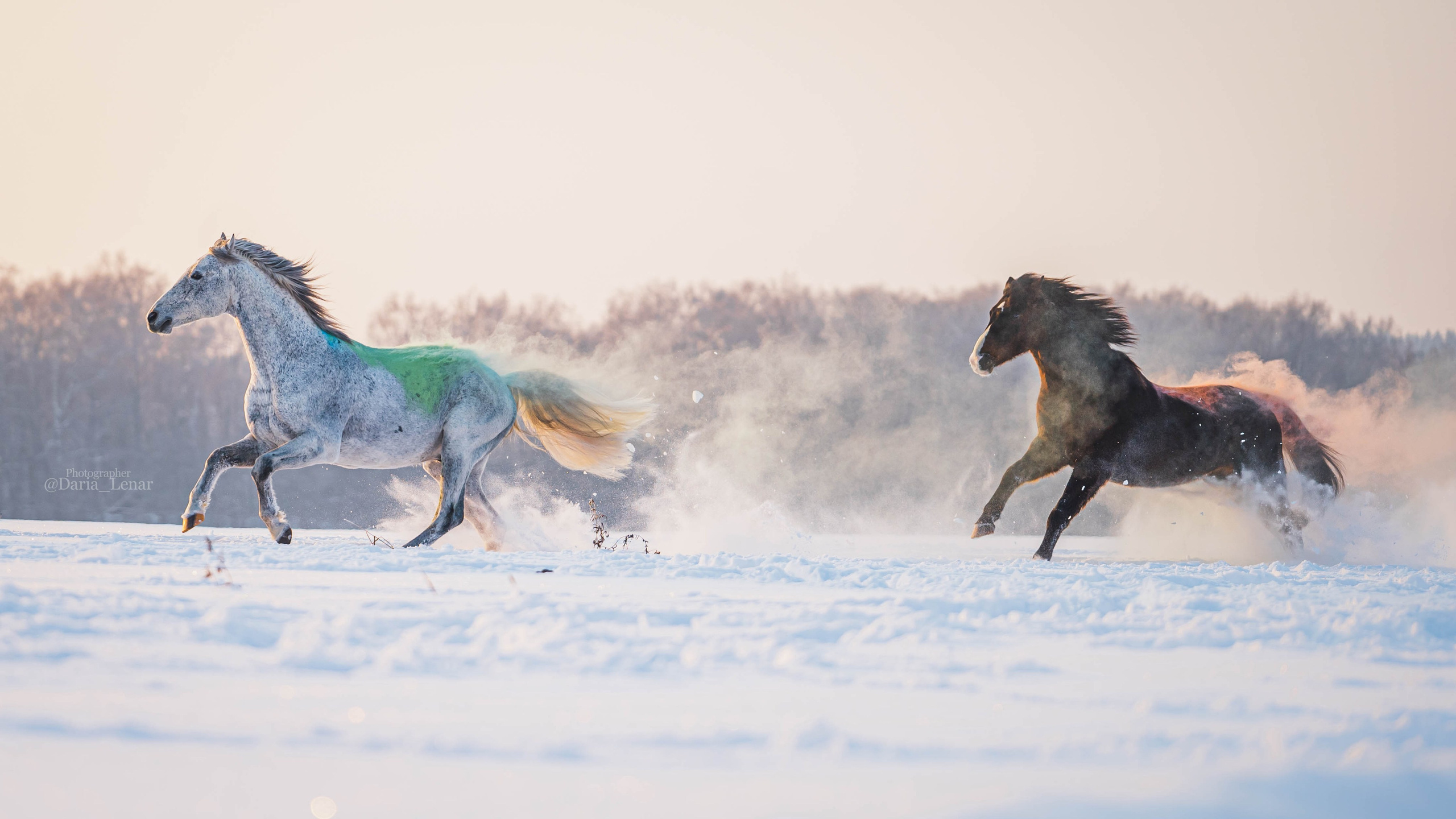 Людмила, Калидор, Михаил. Фотограф в Москве Ленарская Дарья