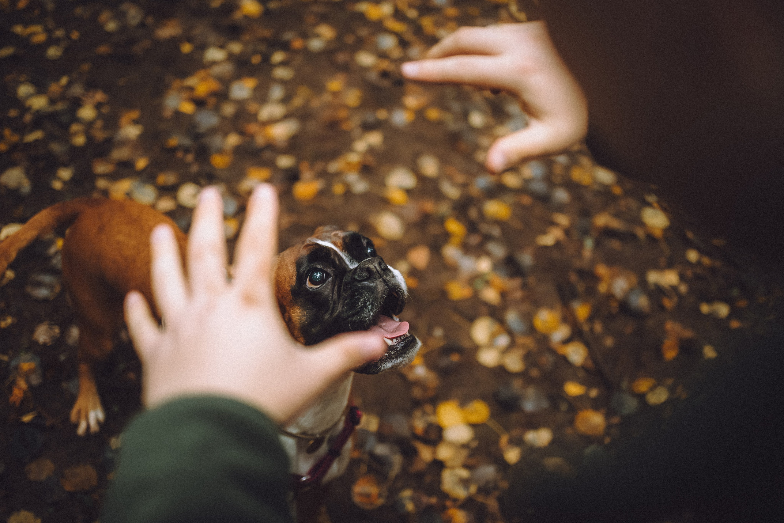 Элли и ее семья