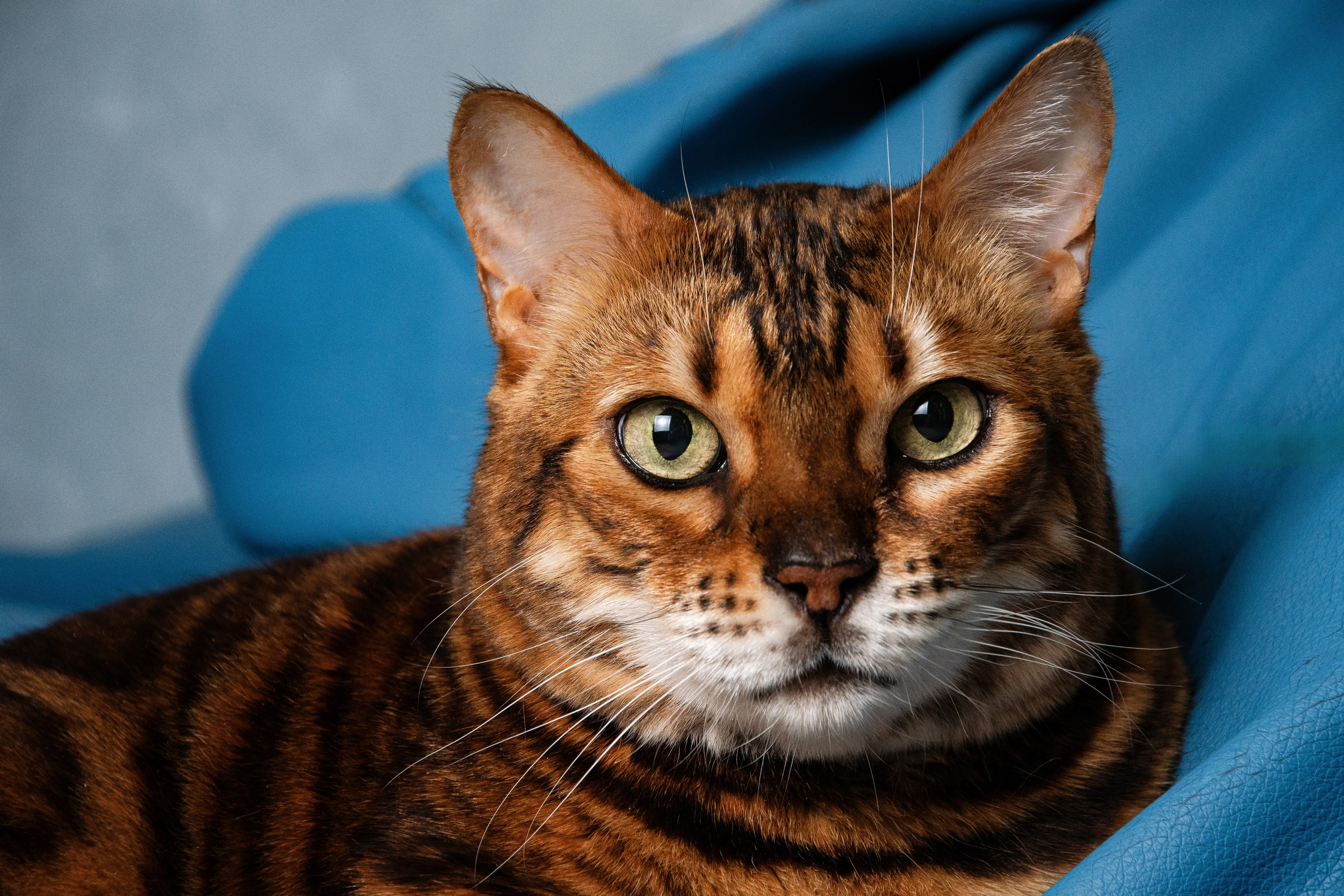 Фотосъемка мероприятий в Москве. Предметная съемка в Москве. Фотограф — Вячеслав Иванов