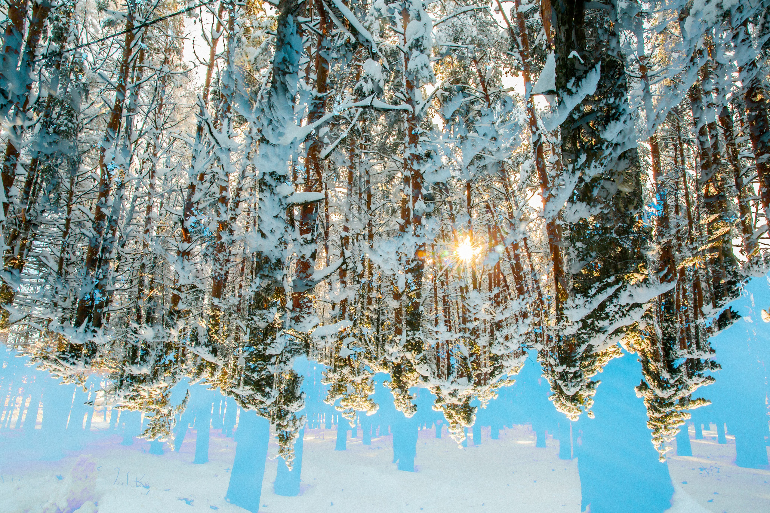 — 29С, 2026. АННА ВЕРСО / ANNA VERSO | Визуальный художник / Visual artist