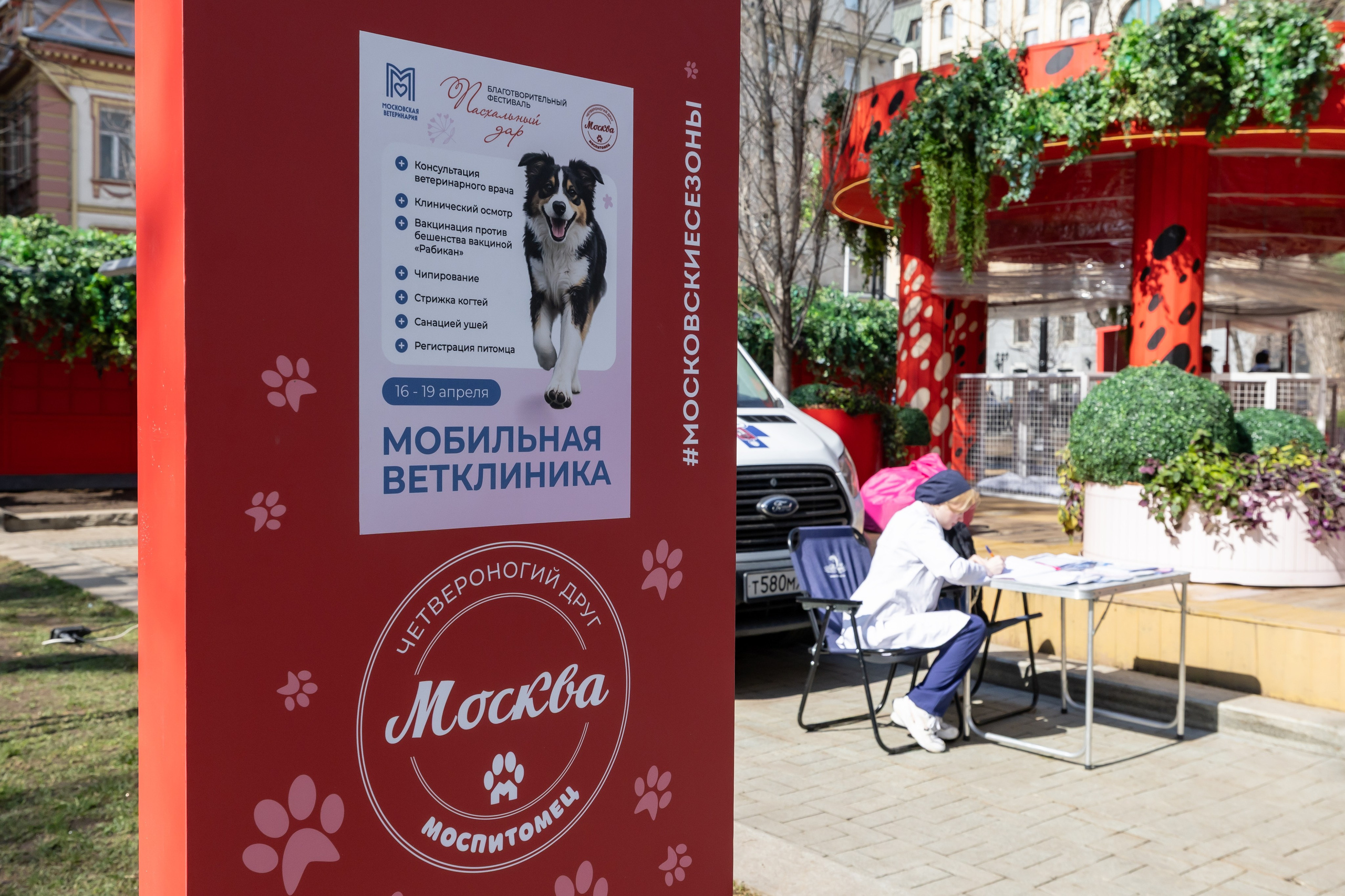 Проект «Моспитомец» на Тверском бульваре. Фотограф Владимир Охрименко