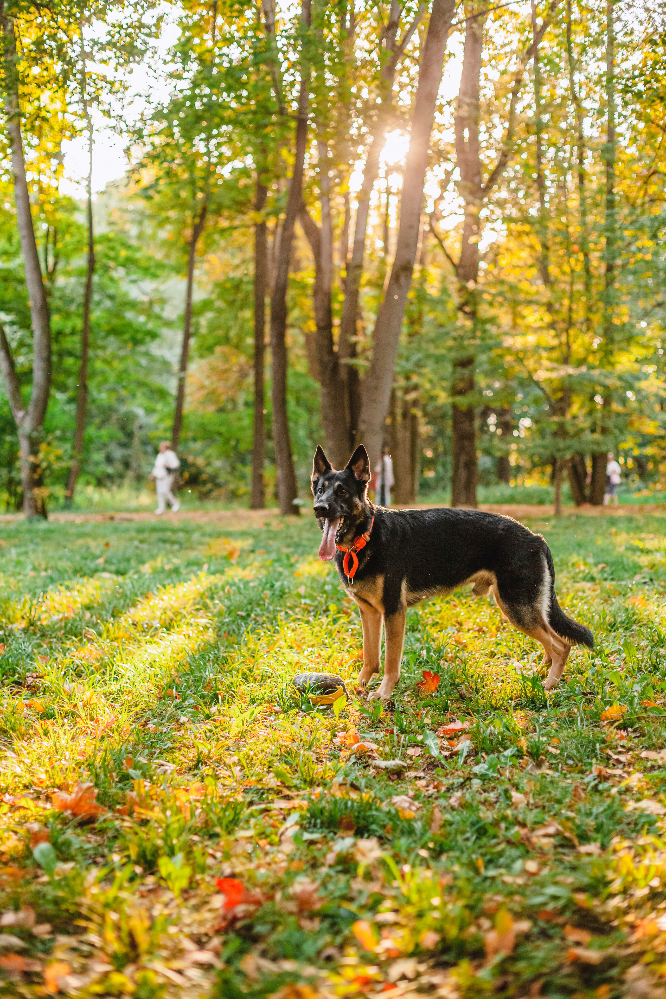 Илай. Фотограф-анималист Татьяна Степанова