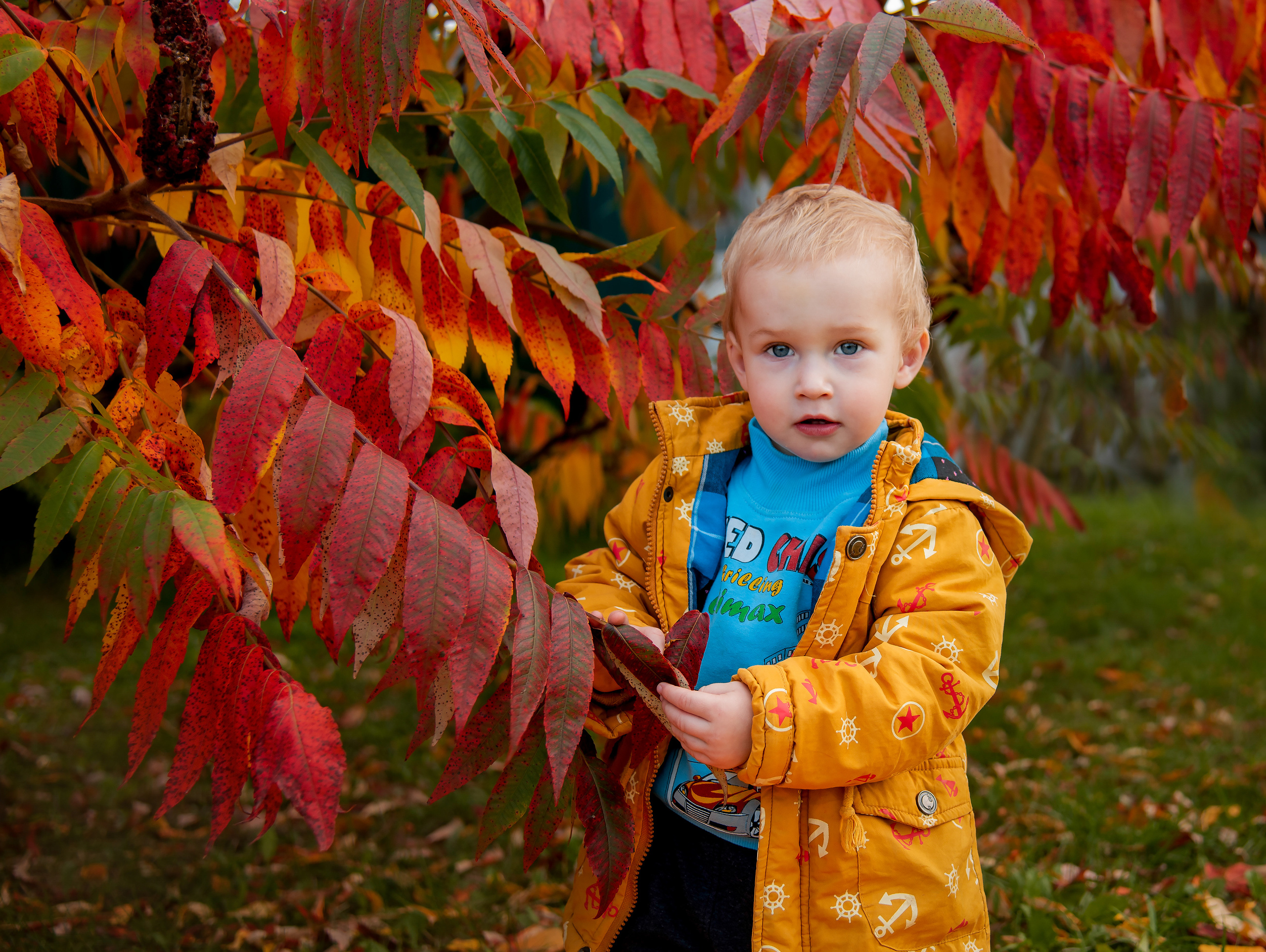 Мезуевы. Вера Гарусина