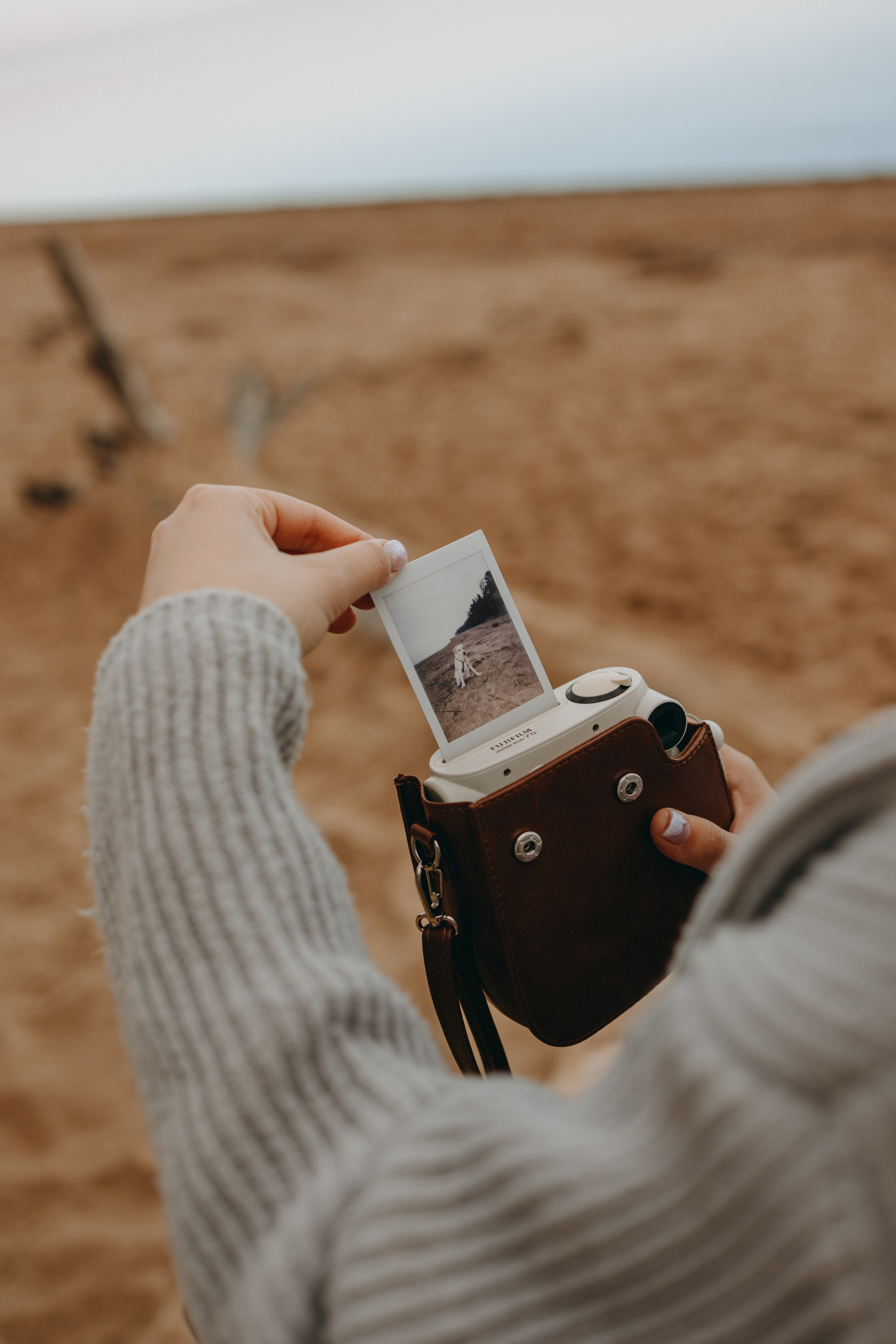 Наташа и Шани. Фотограф — Анималист | Санкт-Петербург