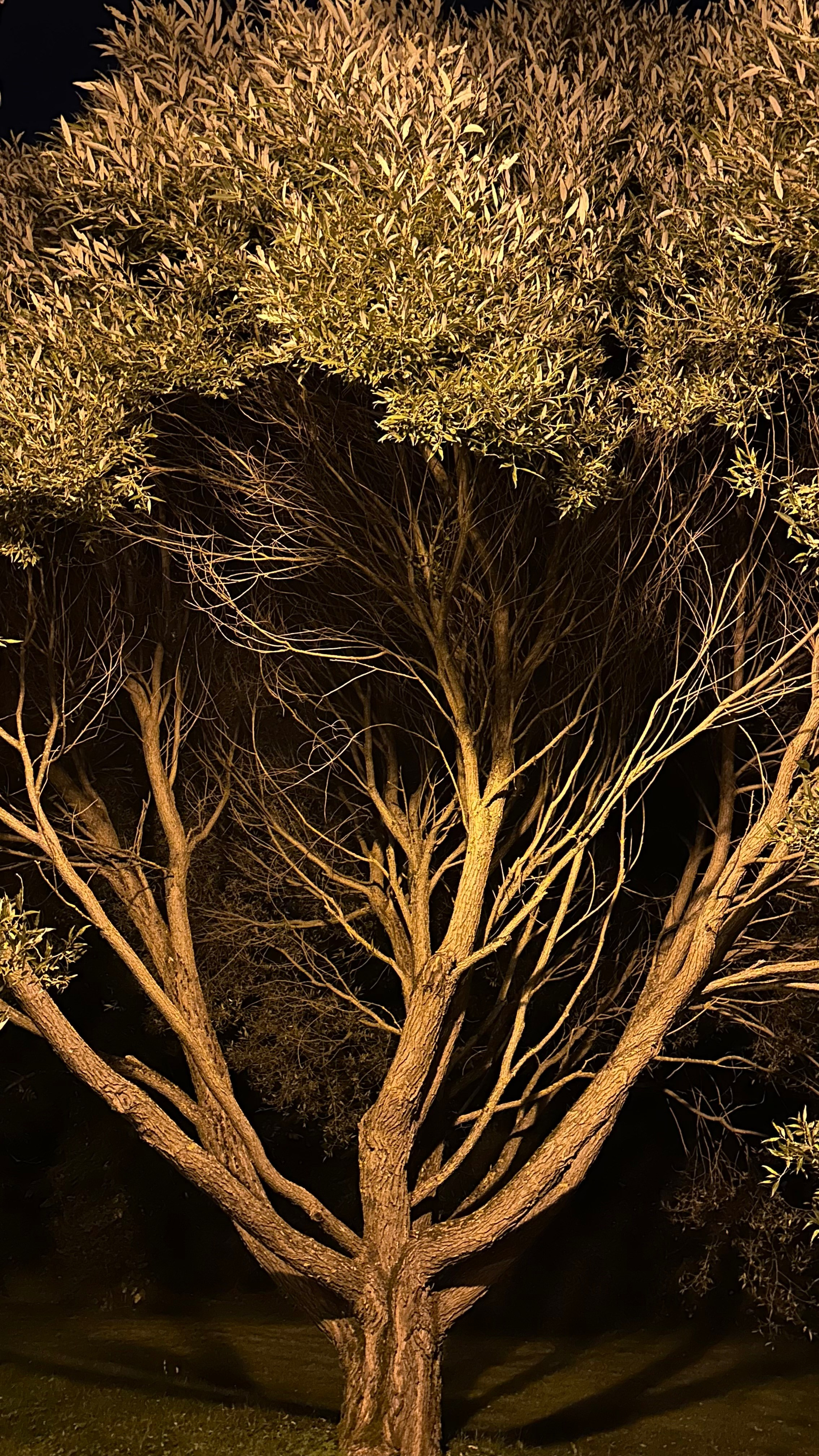 EXHIBITION. Репортажный и интерьерный фотограф, фотохудожник