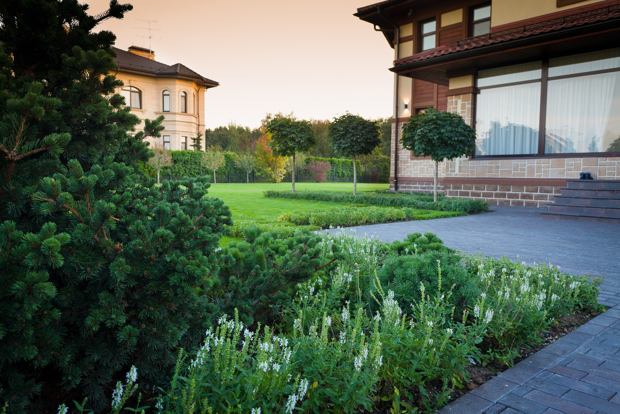 Ландшафт. Новый год 2026