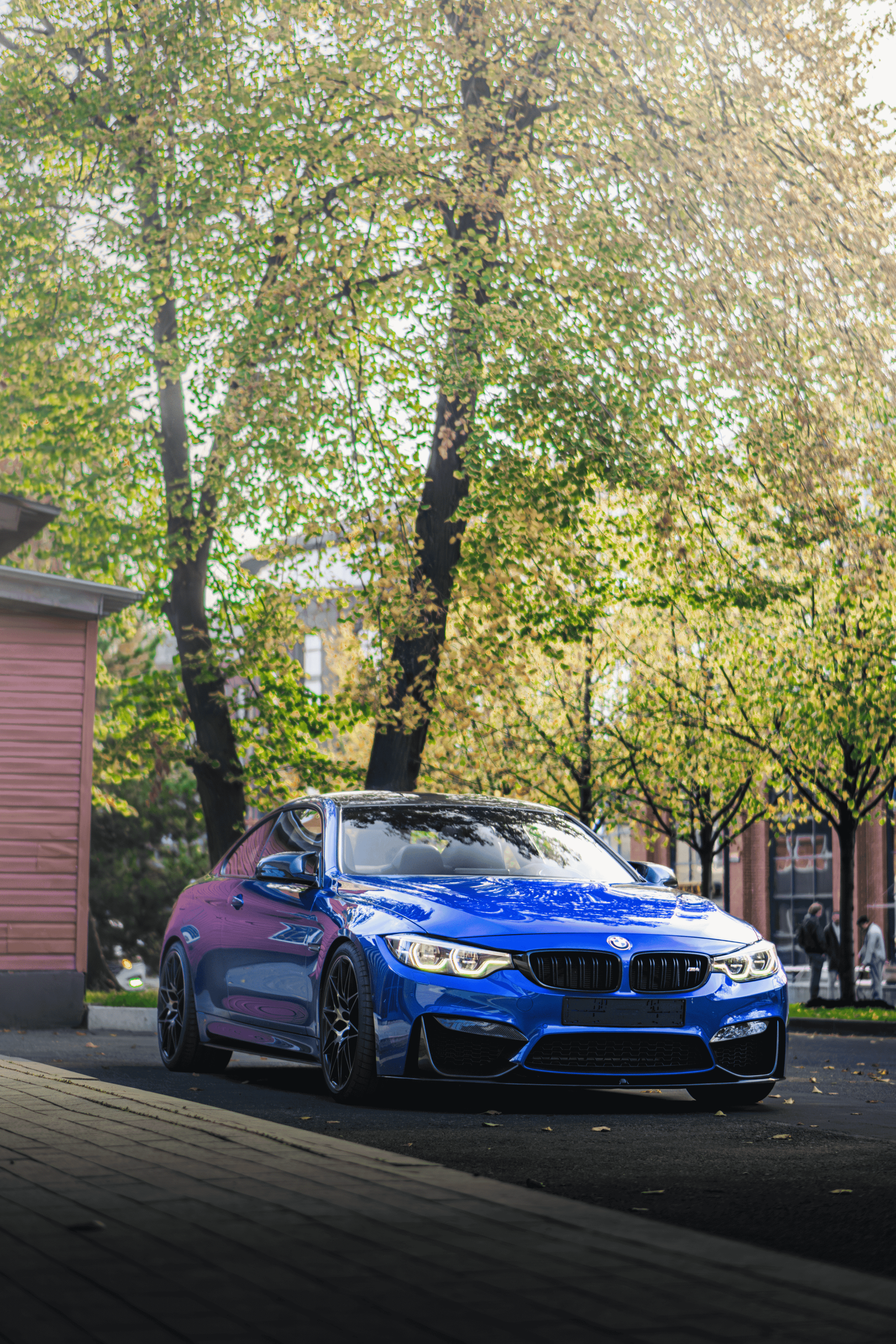 BMW M2 & M4: Competition mania