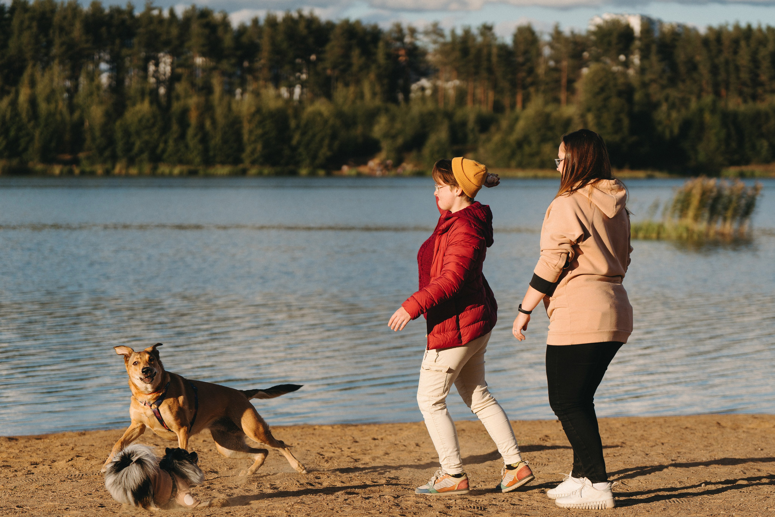 Семейная фотосессия с двумя собаками на закате. Фотограф анималист в Спб недорого Олеся Майорова