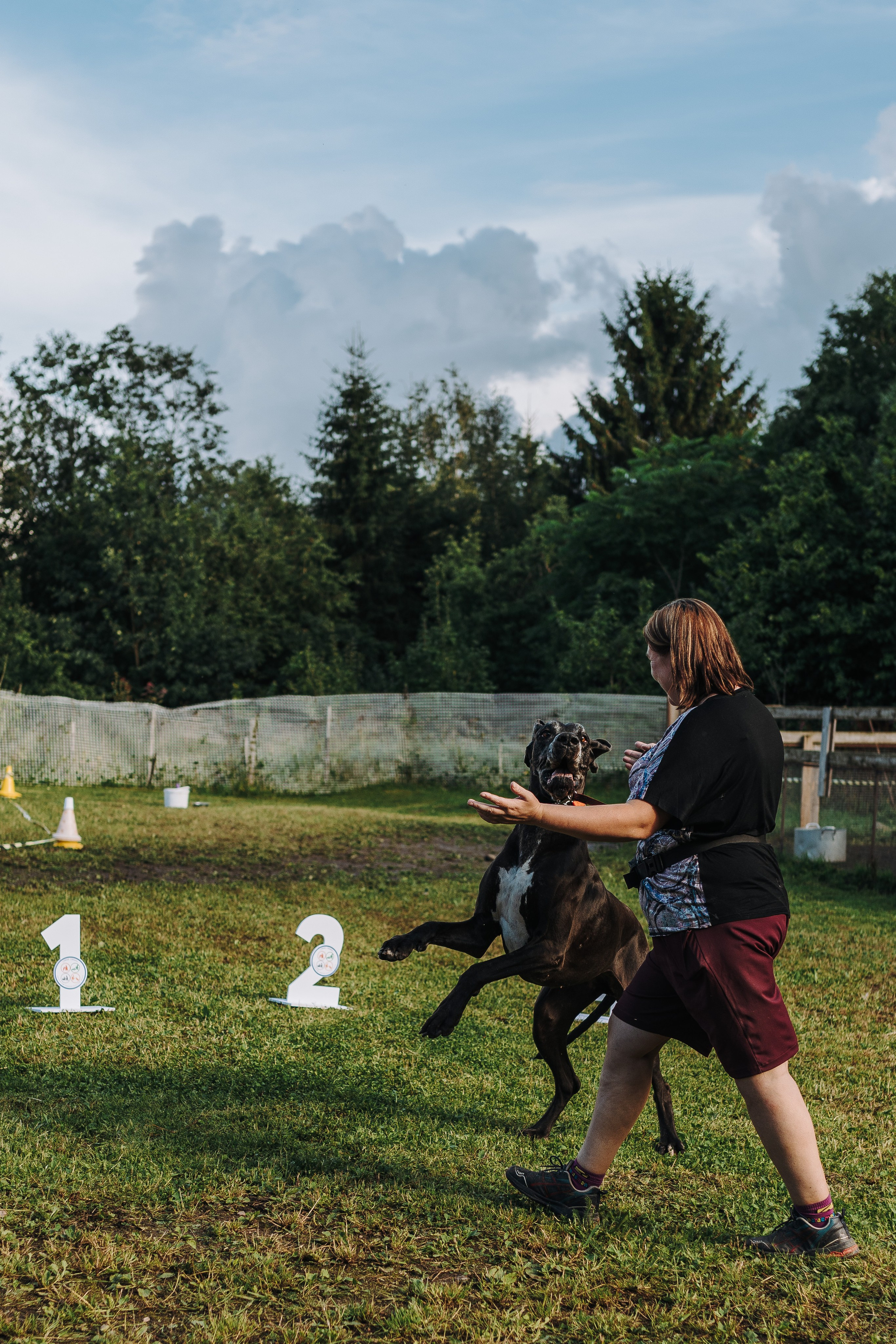 Соревнования по ноузворку в Новожилово. Фотограф анималист в Спб недорого Олеся Майорова