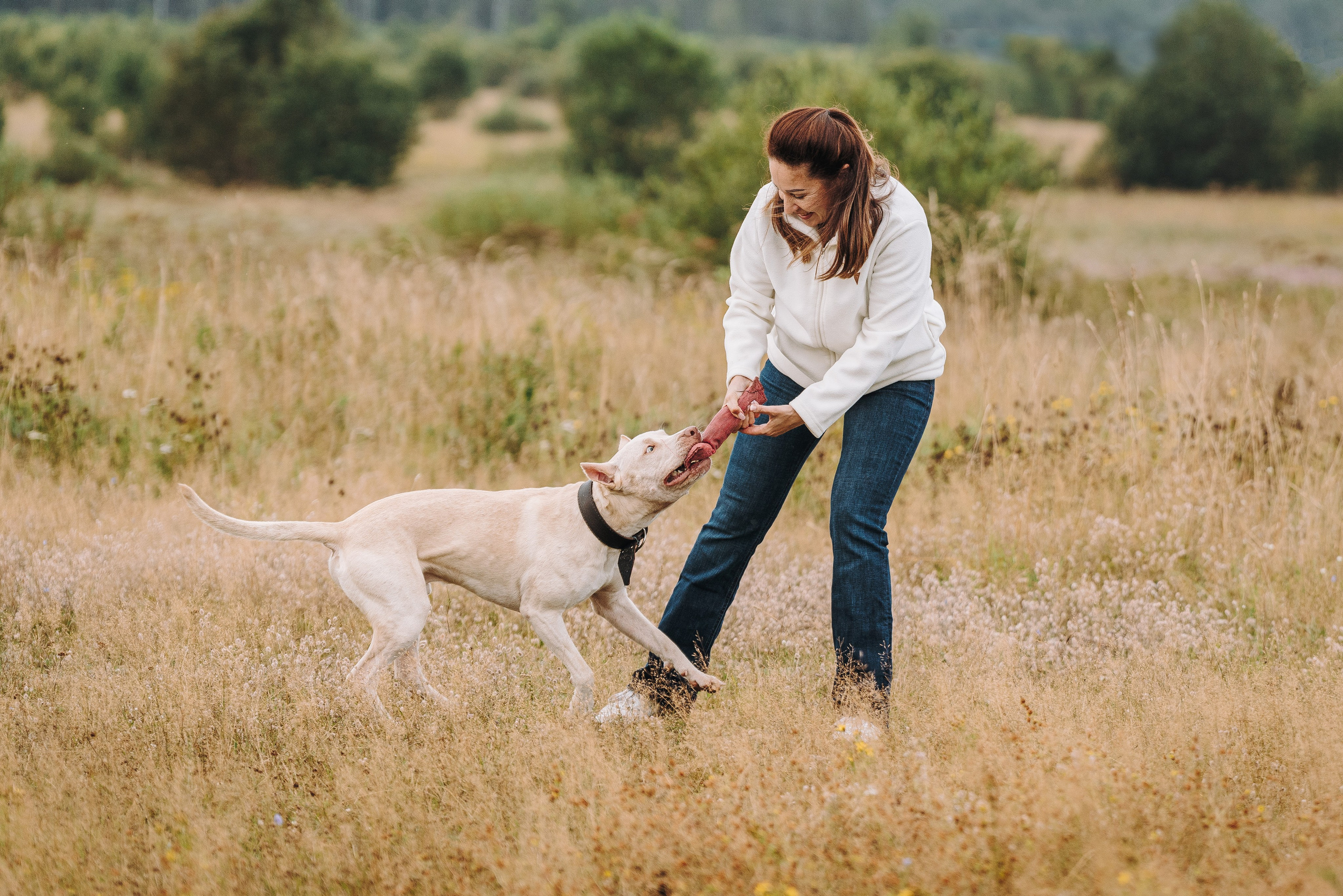 Оля и Гламур. Фотограф анималист в Спб недорого Олеся Майорова