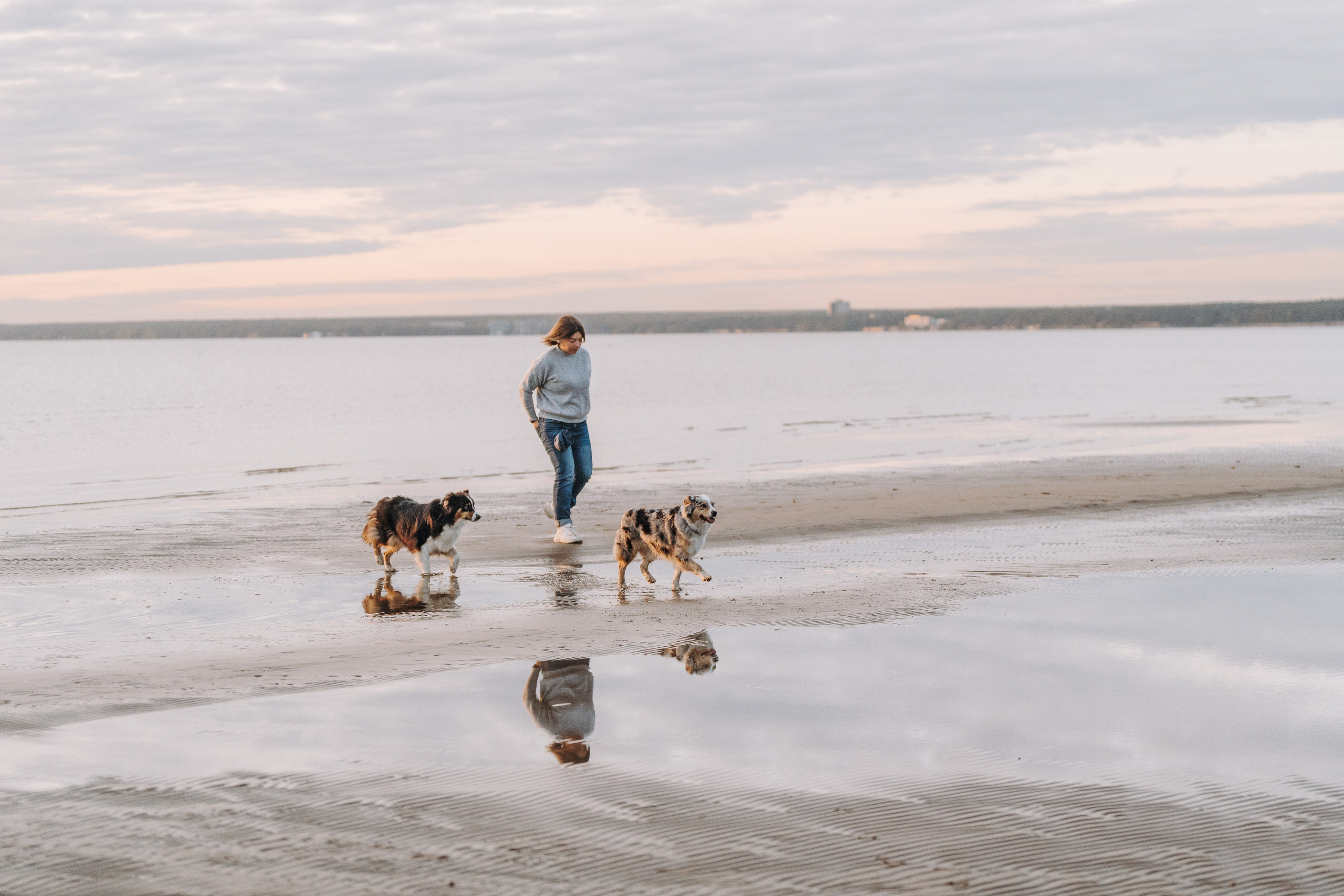 Фотограф анималист в Спб. Фотограф анималист в Спб недорого Олеся Майорова