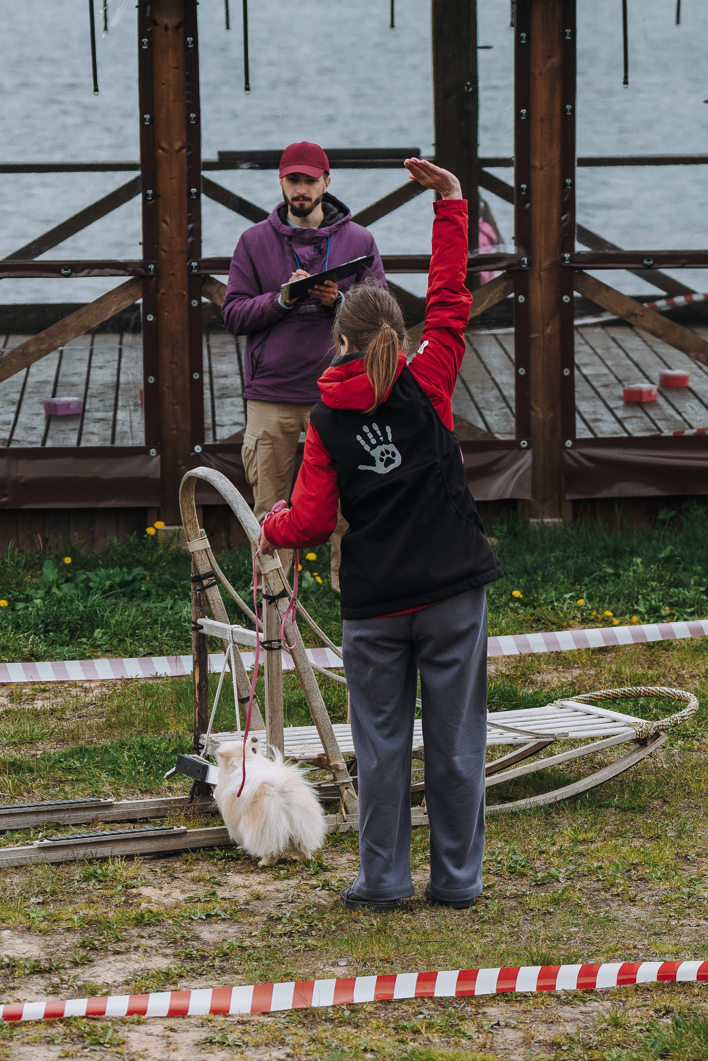 Соревнования по ноузворку в Лосево. Фотограф анималист в Спб недорого Олеся Майорова