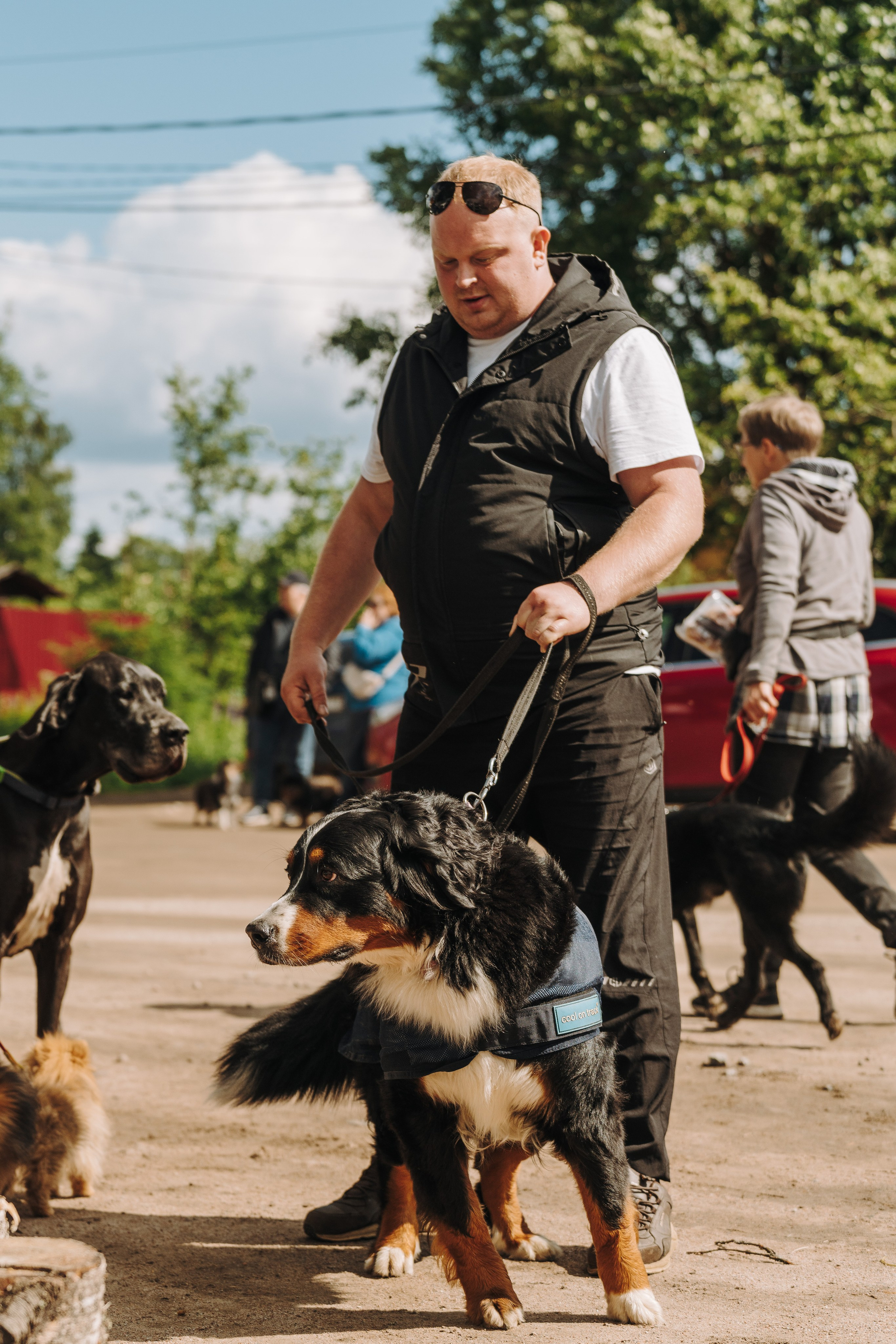 Соревнования по ноузворку. Фотограф анималист в Спб недорого Олеся Майорова