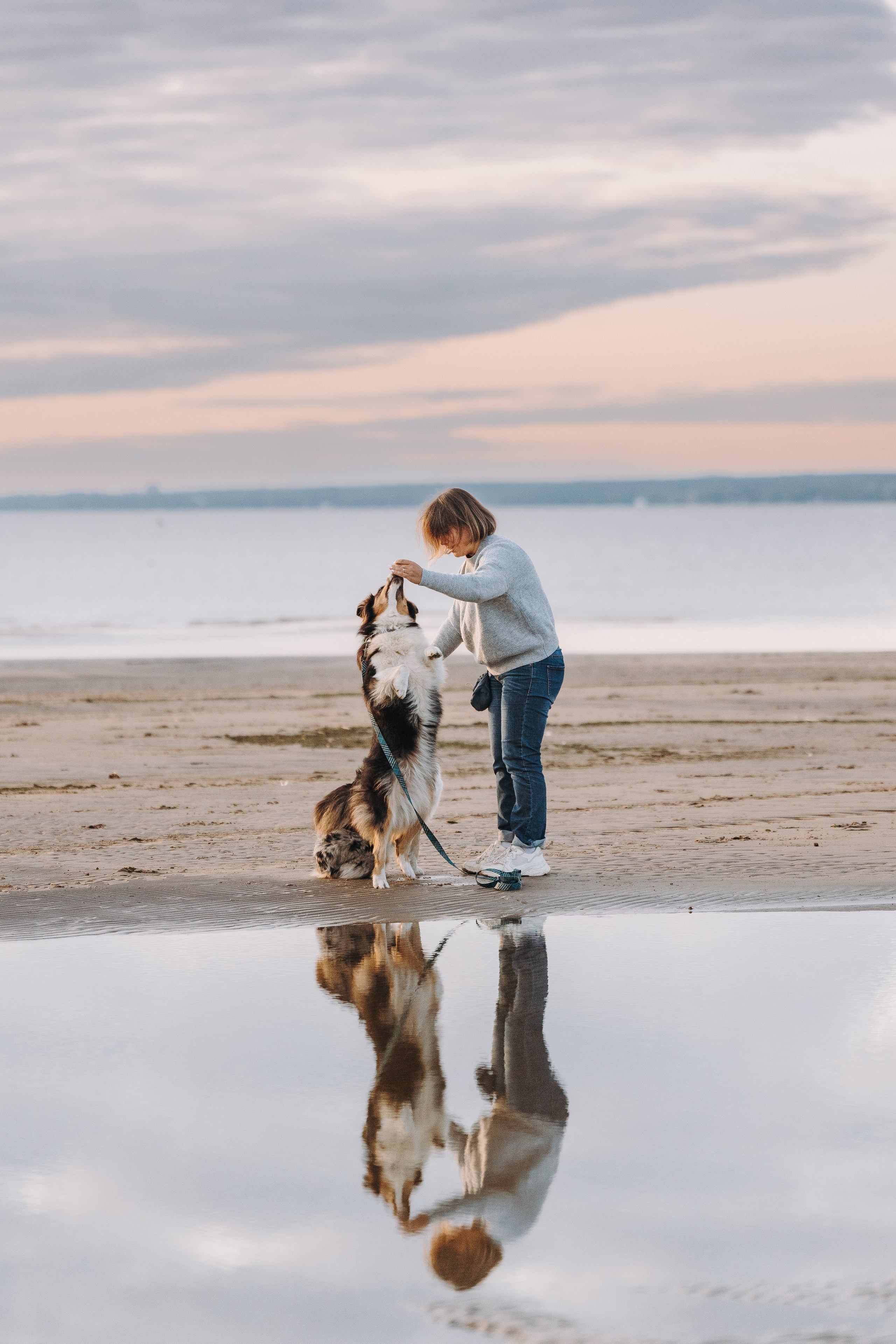 Фотограф анималист в Спб. Фотограф анималист в Спб недорого Олеся Майорова