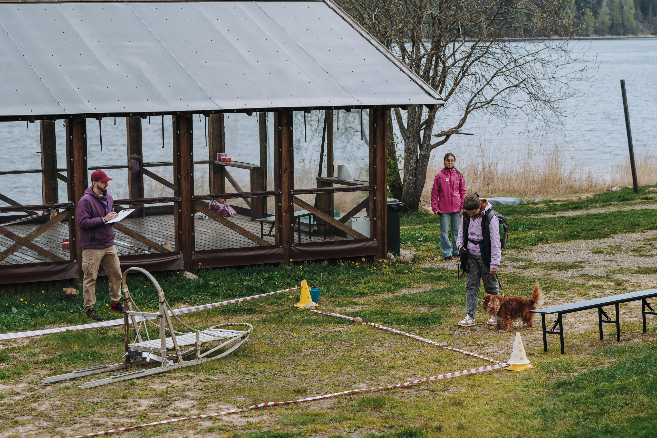 Соревнования по ноузворку в Лосево. Фотограф анималист в Спб недорого Олеся Майорова
