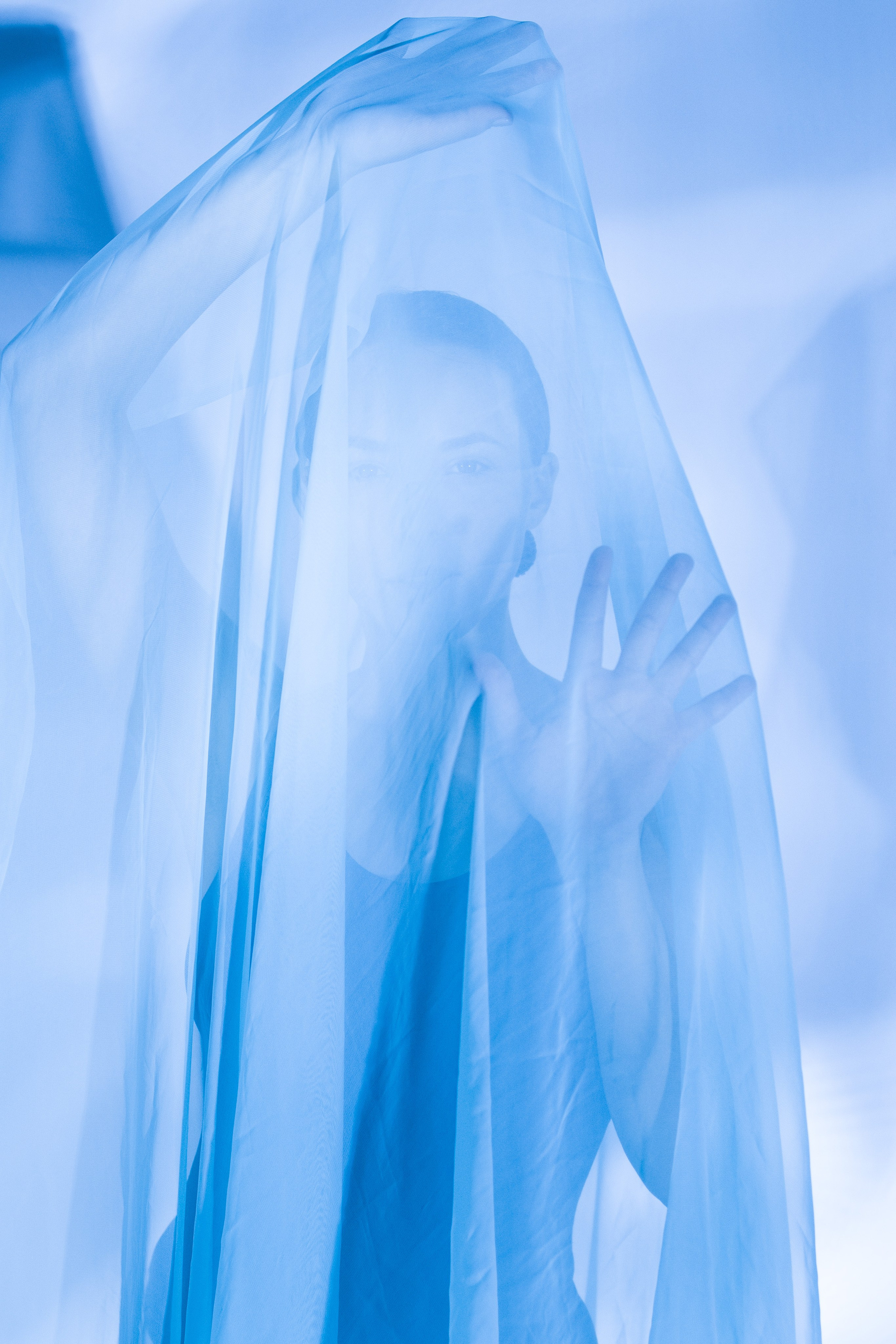 Лилия. Художественная фотография