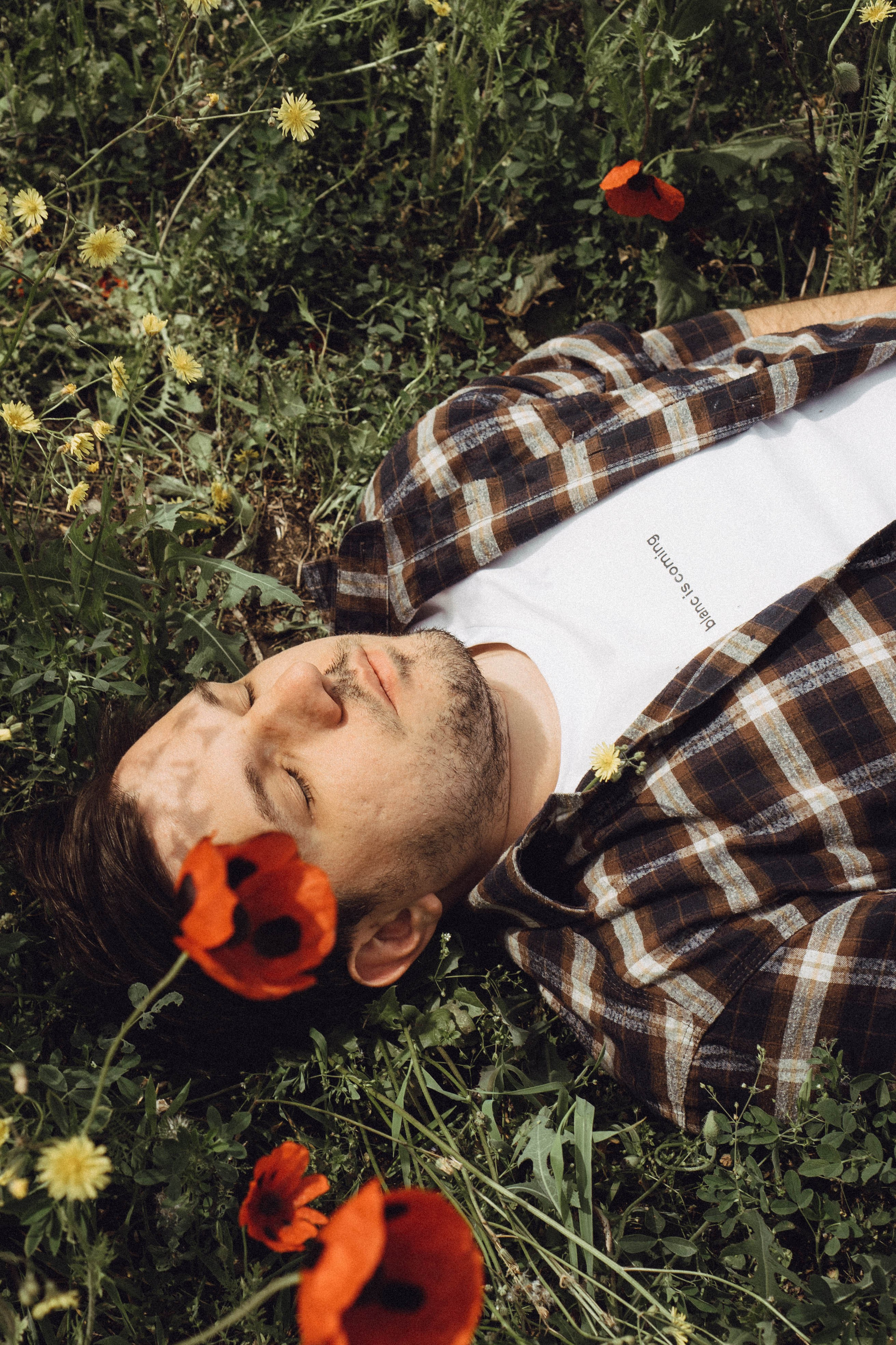 Маки. Профессиональный фотограф, Санкт-Петербург — Виктория Богомолова