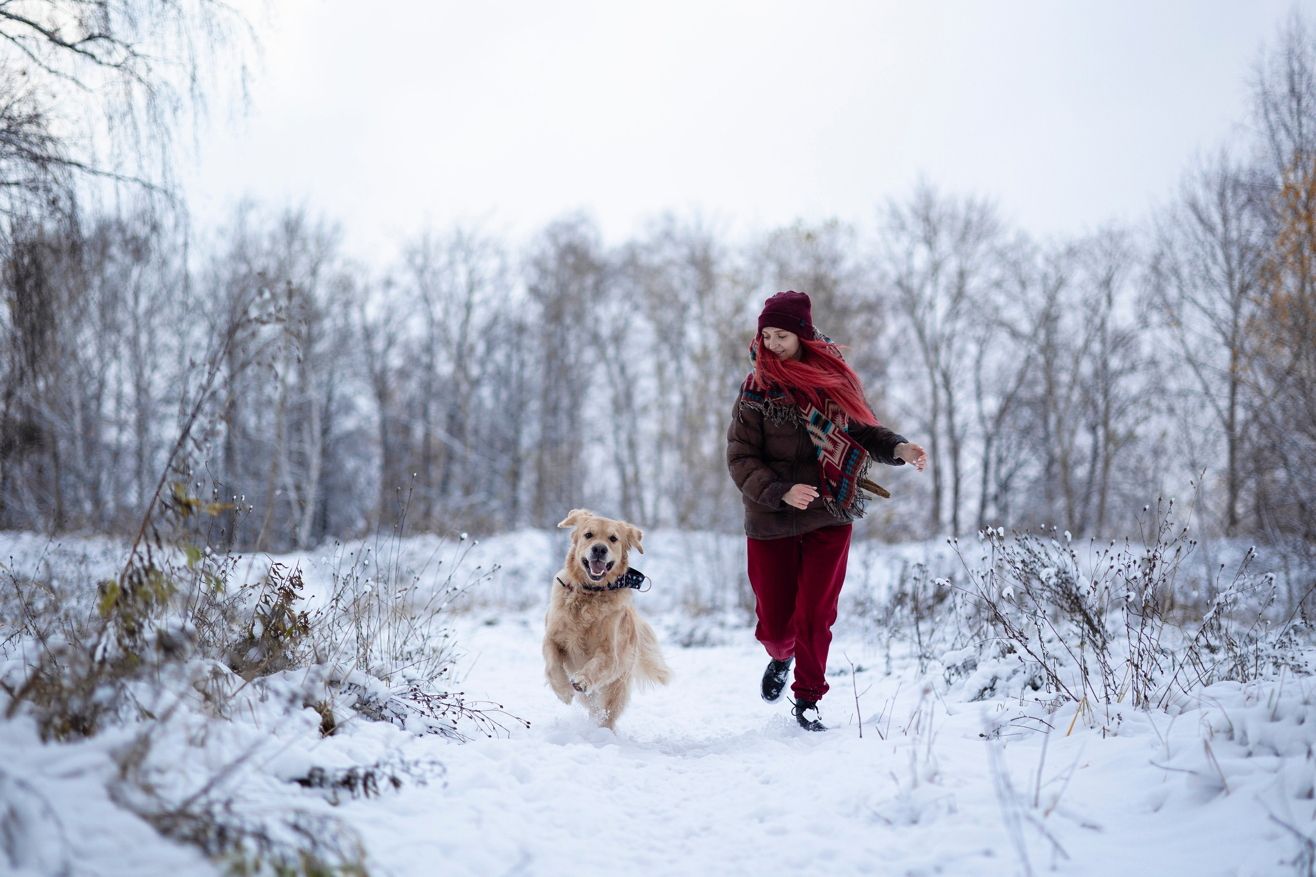 Съемка с собакой. Анастасия Белаш