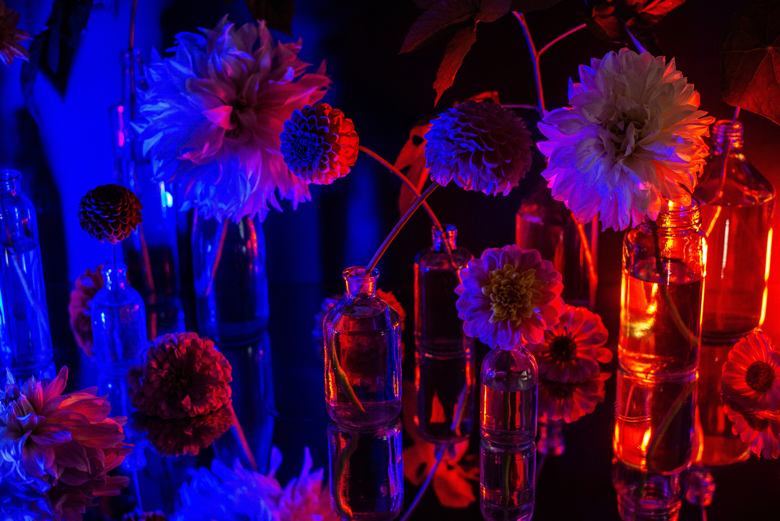 Art. Фотограф в Санкт-Петербурге Мария Мельникова