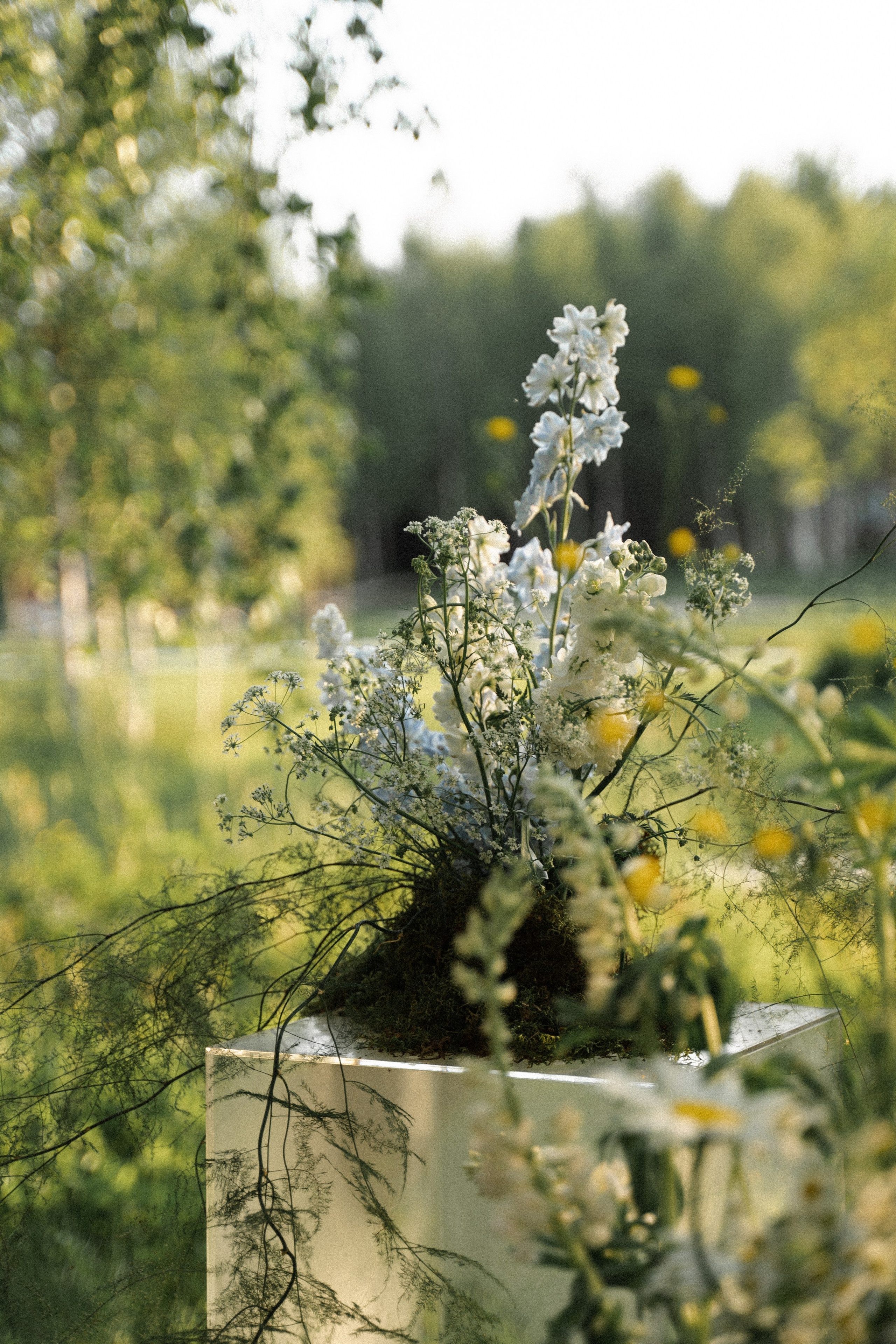 Екатерина и Александр. Фотограф в Москве Наталия Варакина