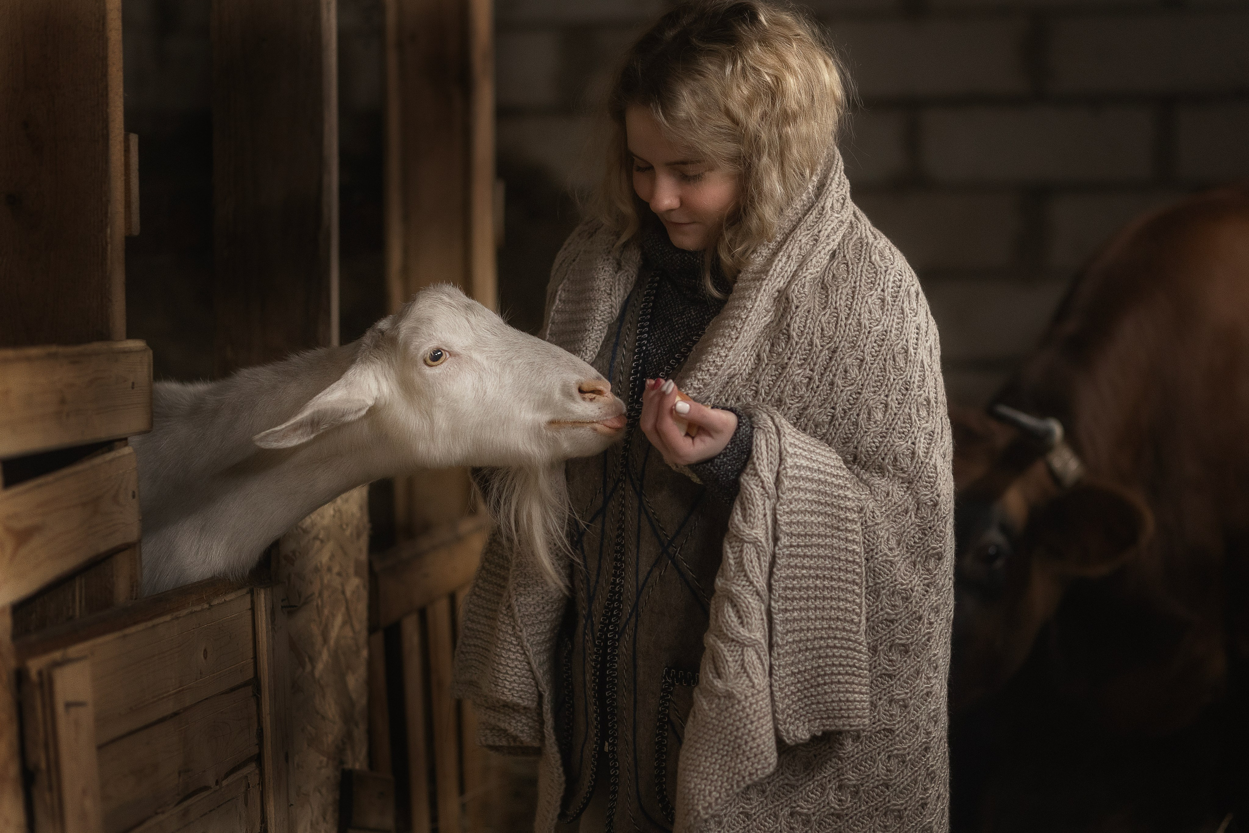 Конкурсные работы. Фотограф-анималист в Москве и Подмосковье