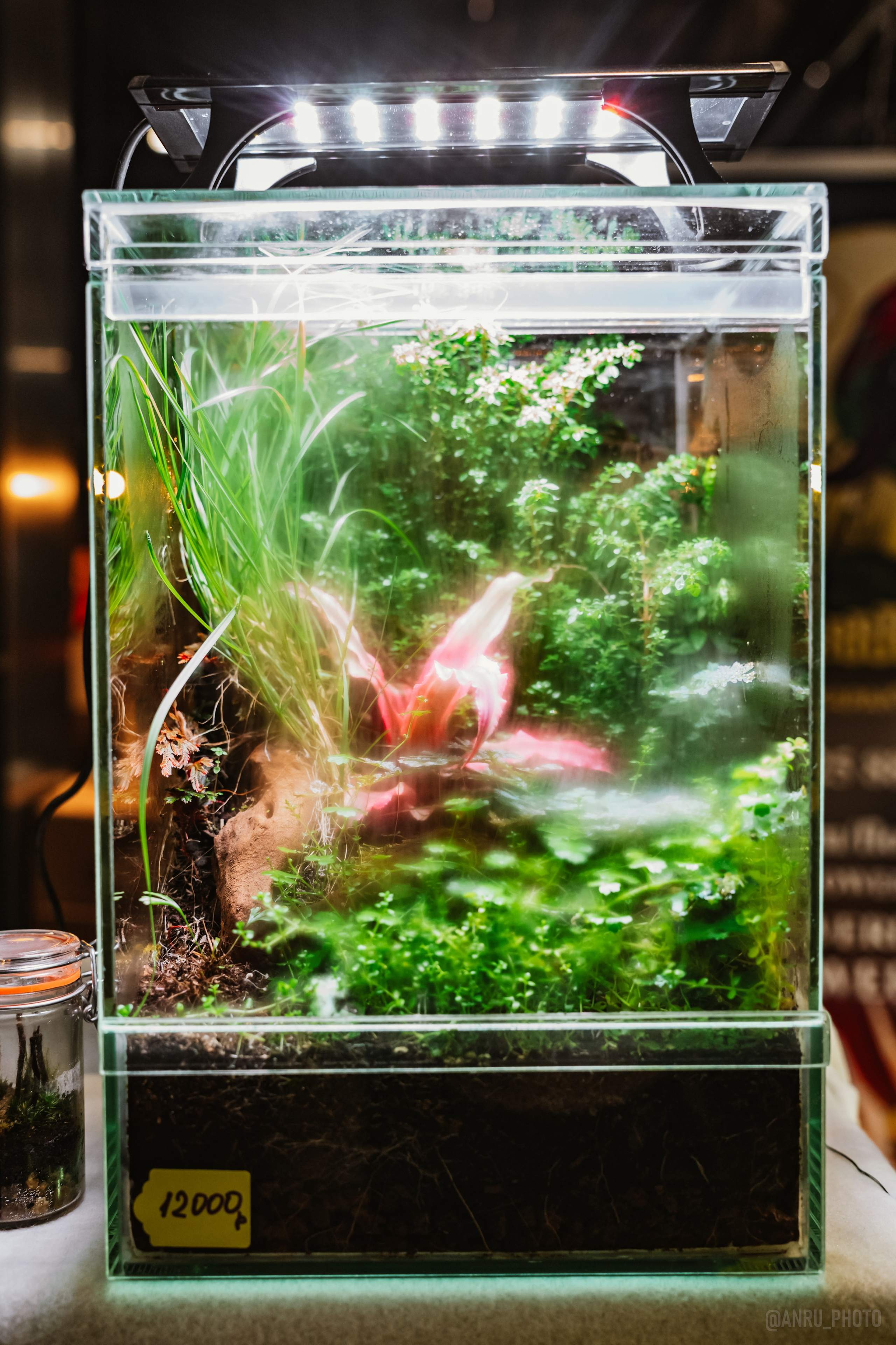 Рептилиум. Репортажный фотограф Анастасия Рубцова