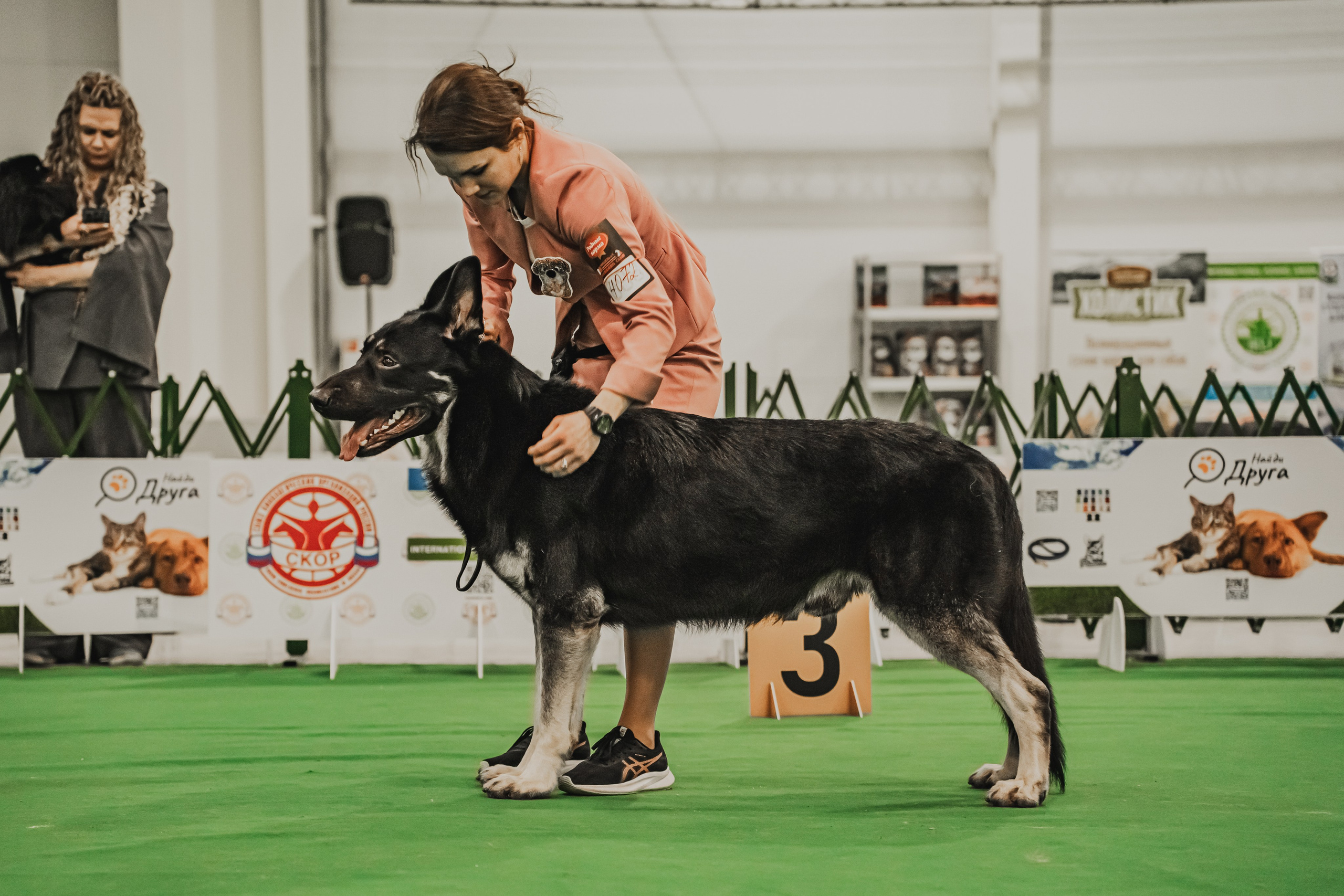 Международная выставка собак всех пород. Репортажный фотограф Анастасия Рубцова