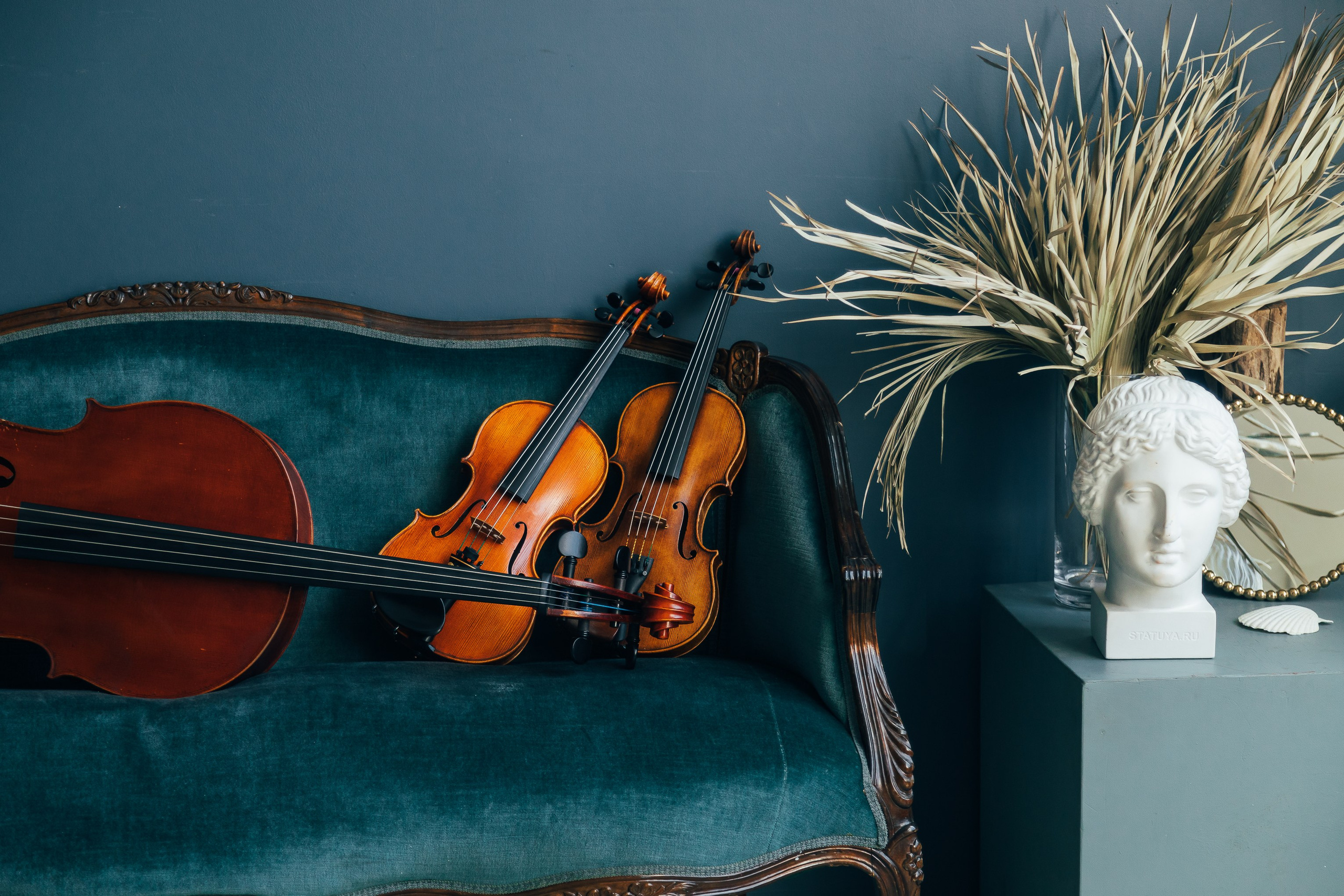 🎻. Фотограф Вика Про