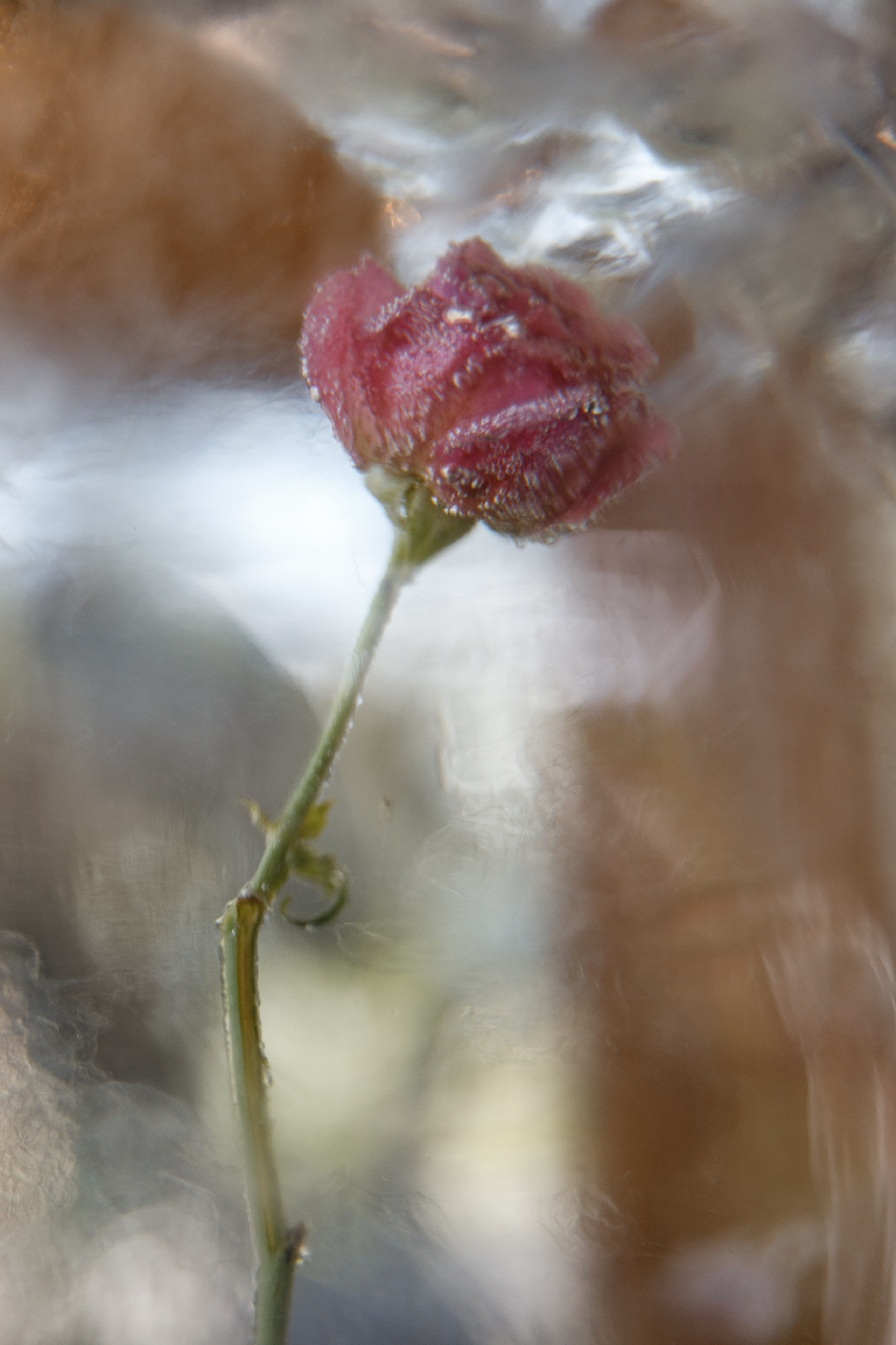 Лед и нежность. Свадьба хоккеиста и его возлюбленной. VENSKAYA WEDDING & EVENT PLANNER