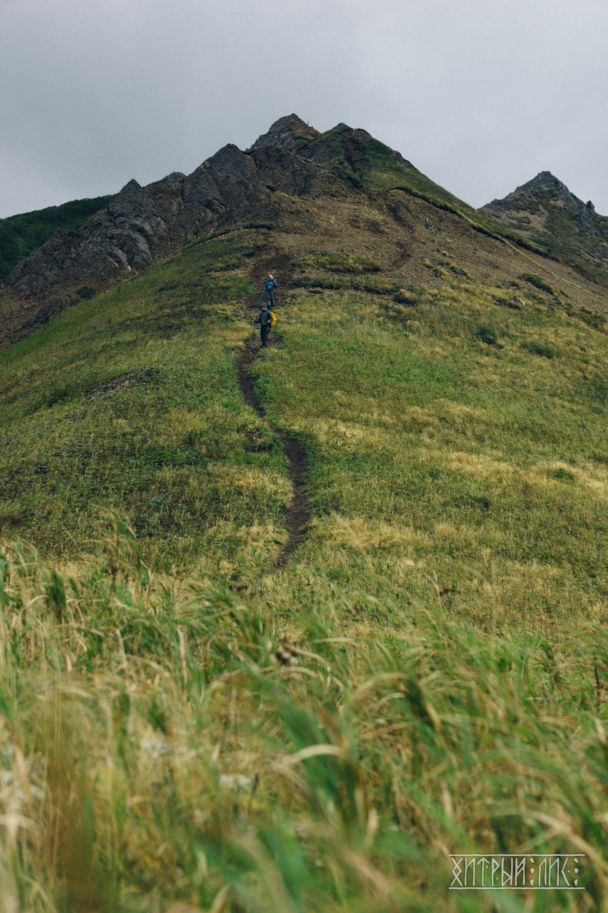 Сахалин. Фотограф-путешественник Самойлов Максим «Sly Fox»