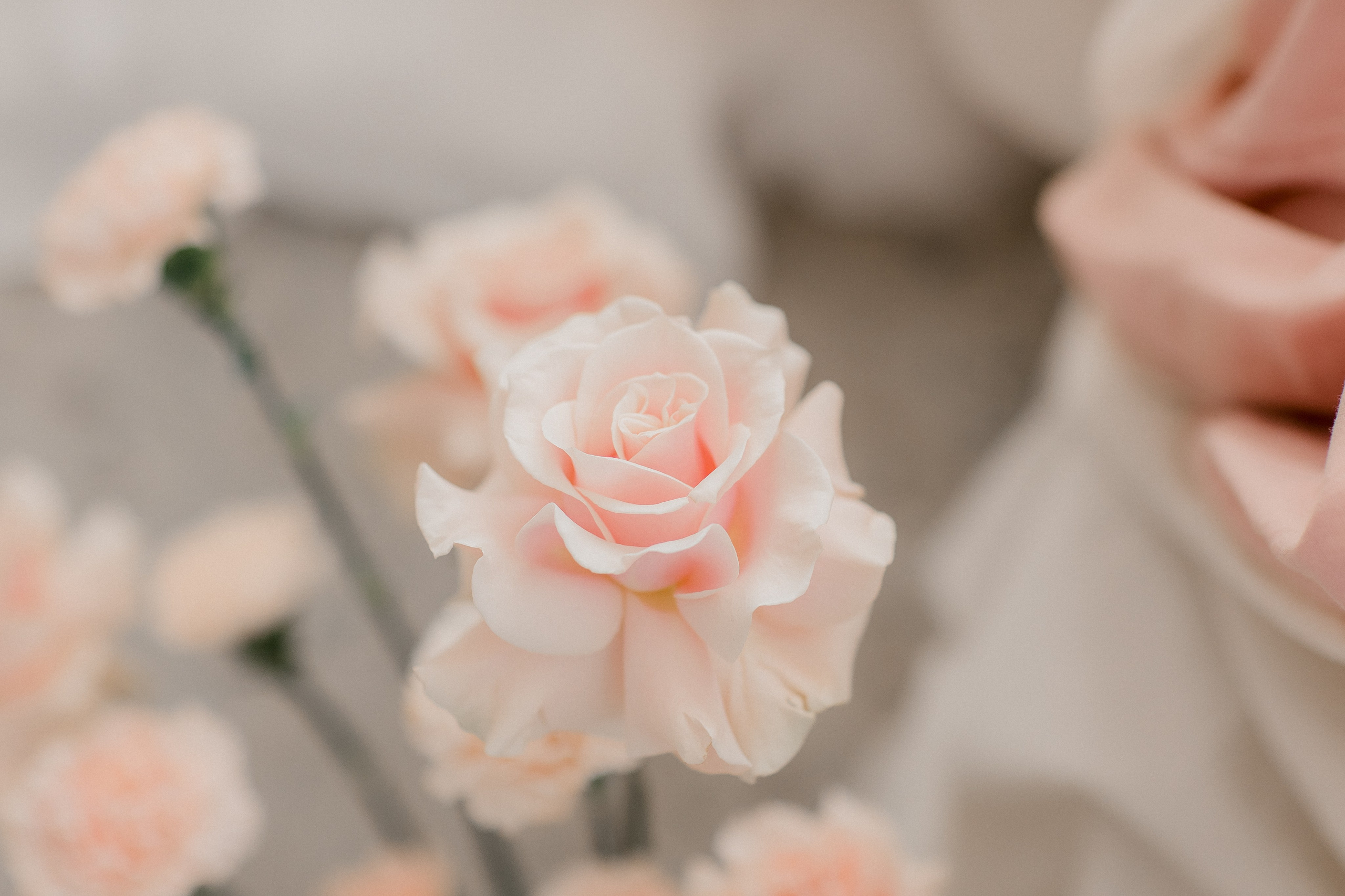 Портретная сьемка. Фотограф в Санкт-Петербурге