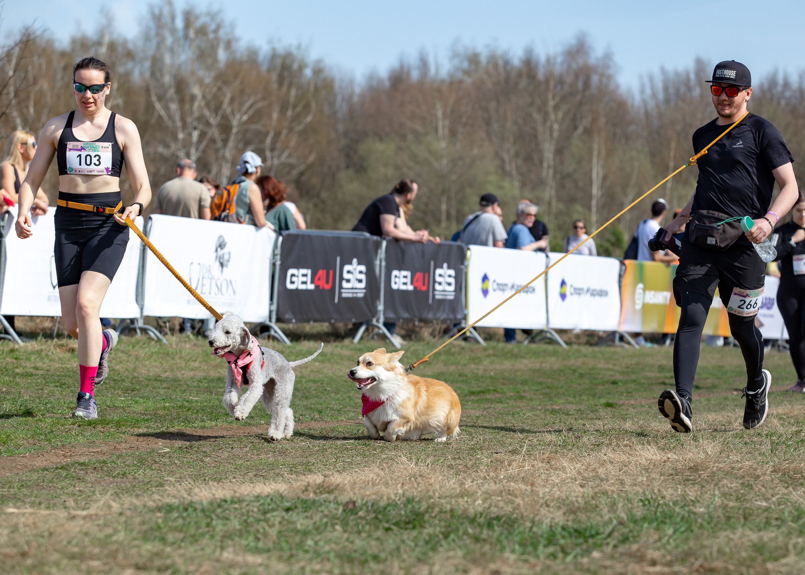 Кросс «Быстрый пёс» 2025. Репортажный фотограф в Москве