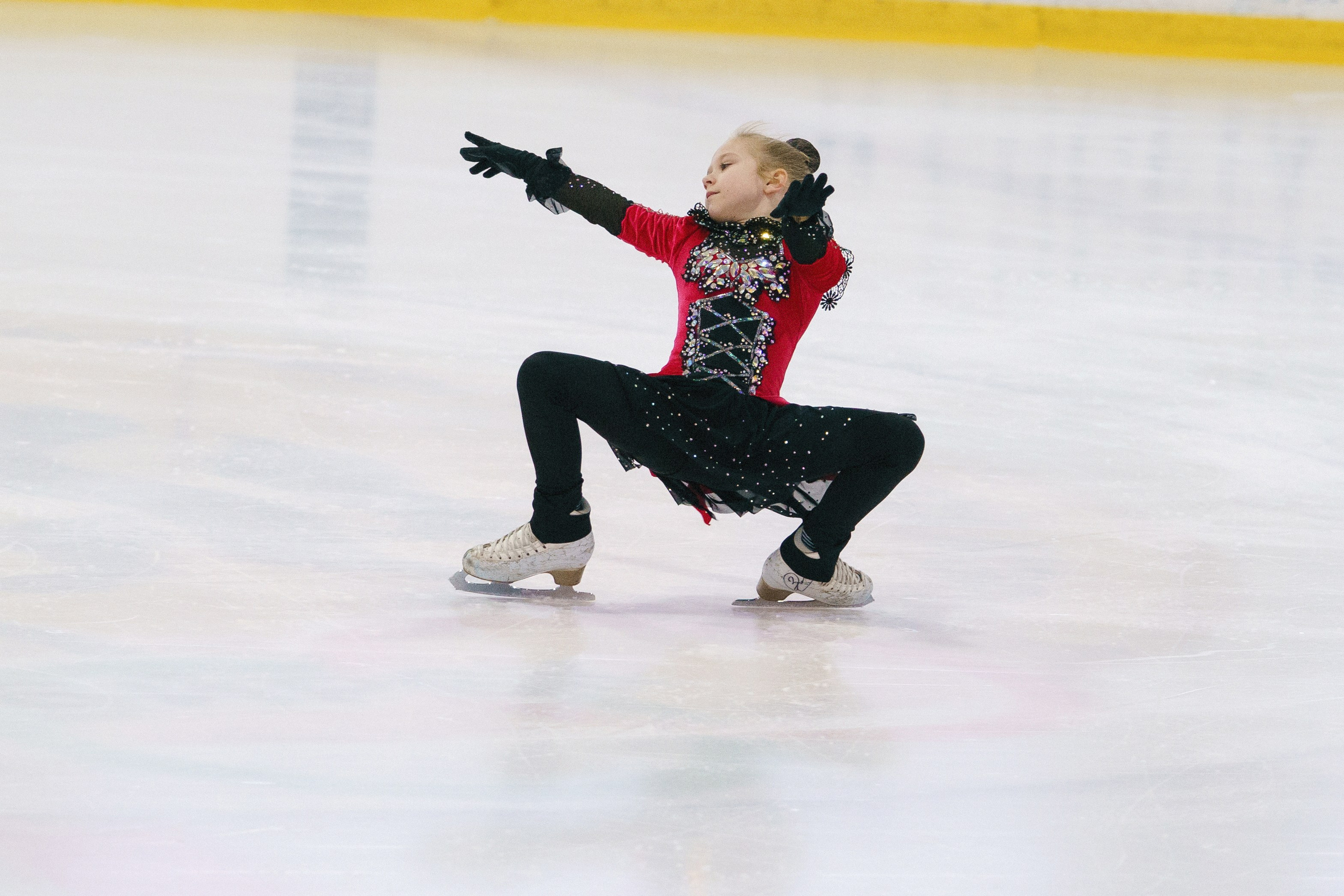 Соревнования ФКК «Майские звезды». Фотомастерская Воробьевых