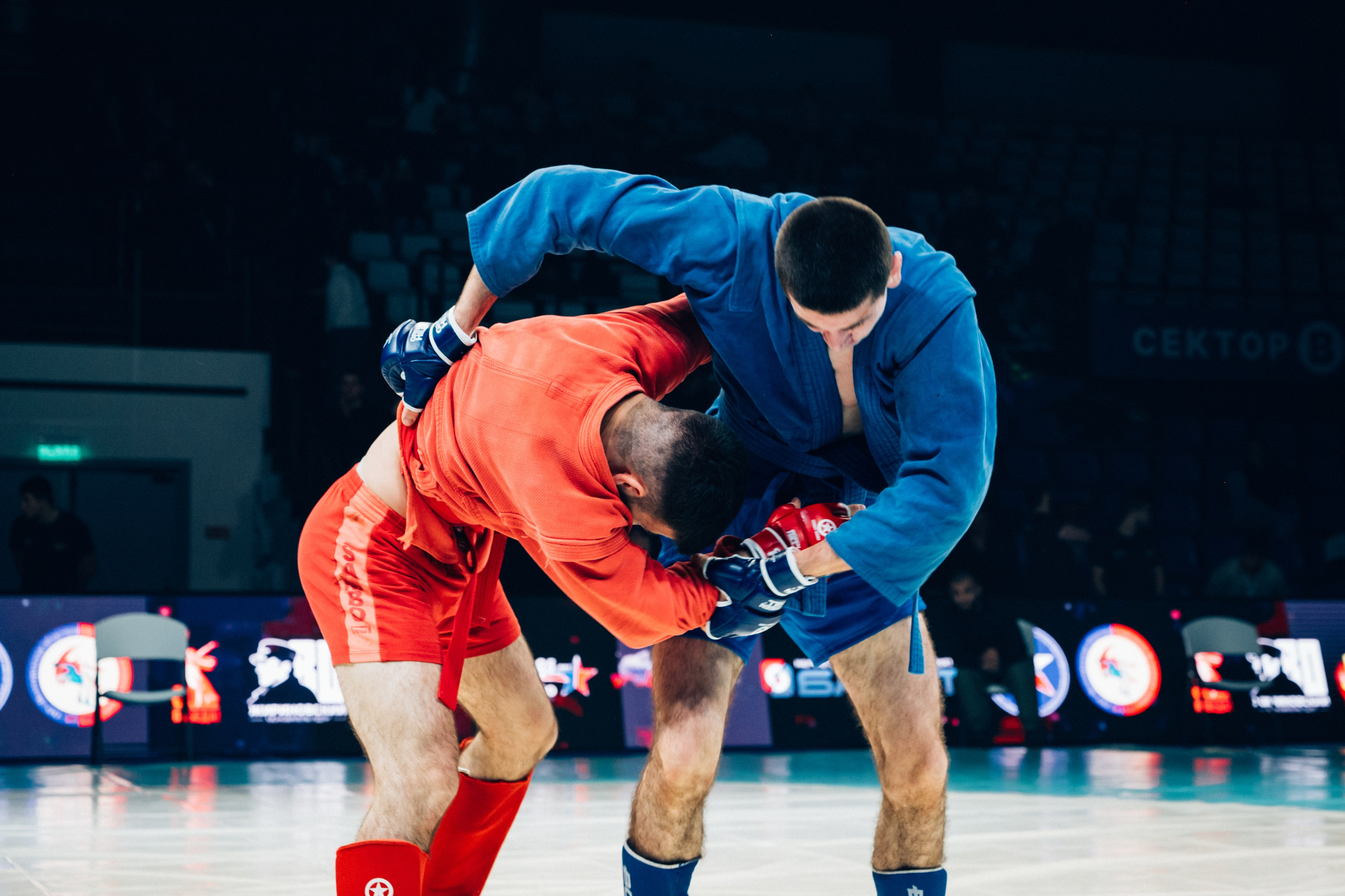 Турнир по самбо ЮФО