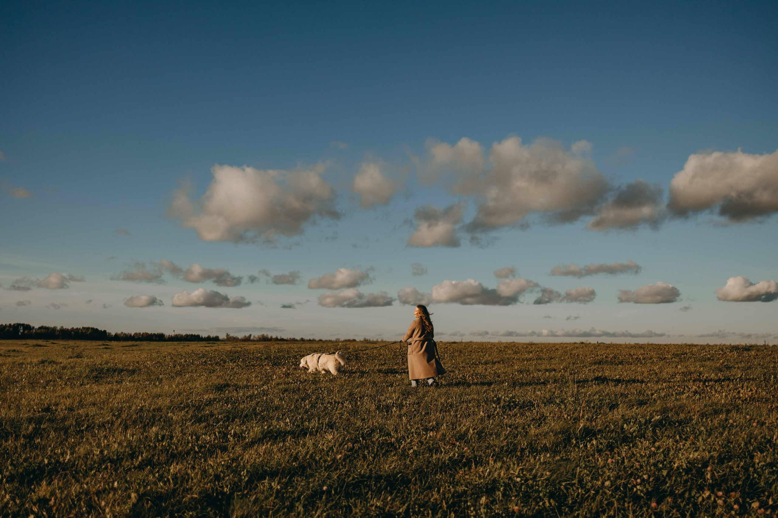 Лера и Скай. Фотограф — Анималист | Санкт-Петербург