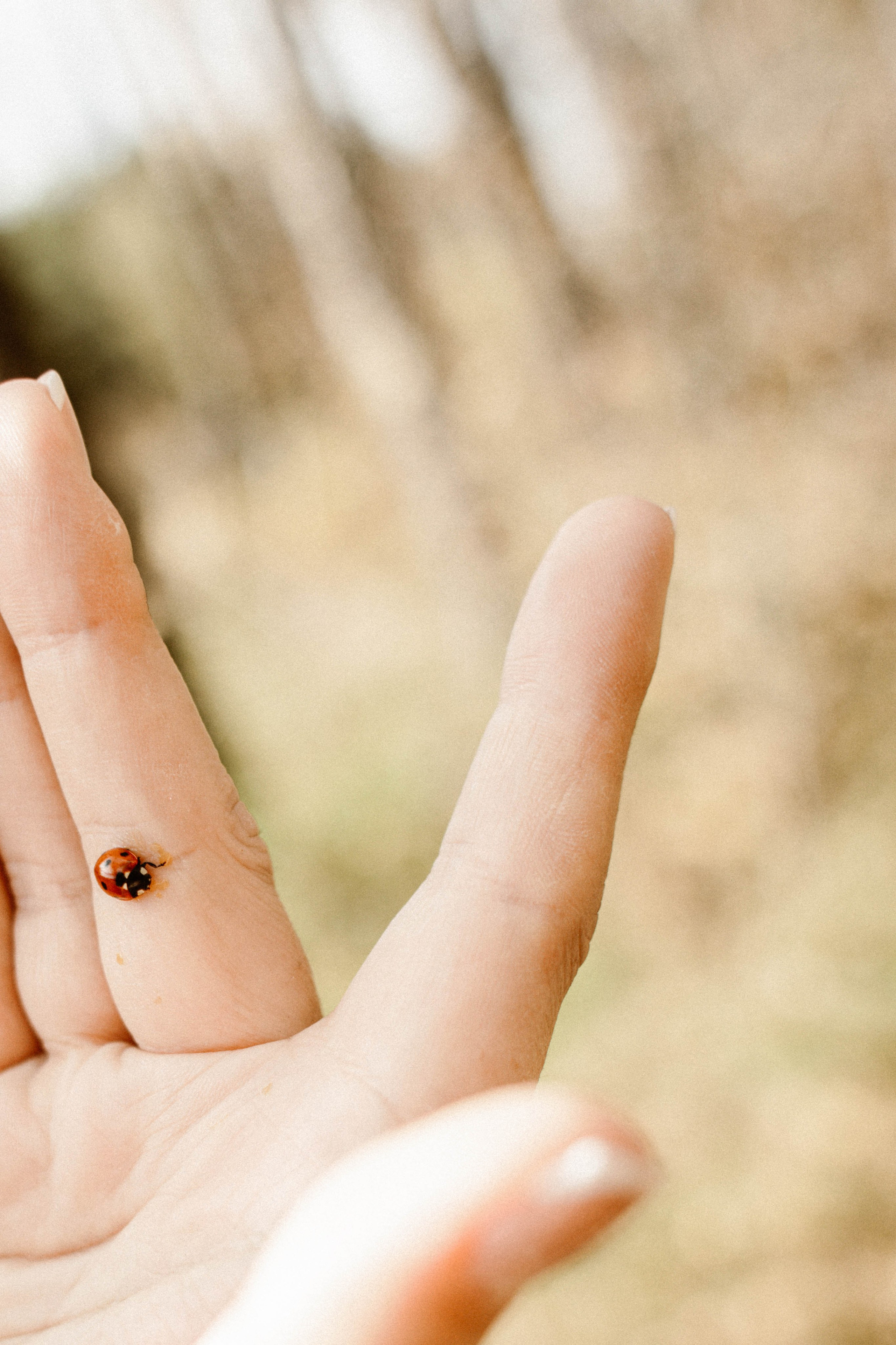 Алиса+ Алёна. Фотограф в Нижнем Новгороде