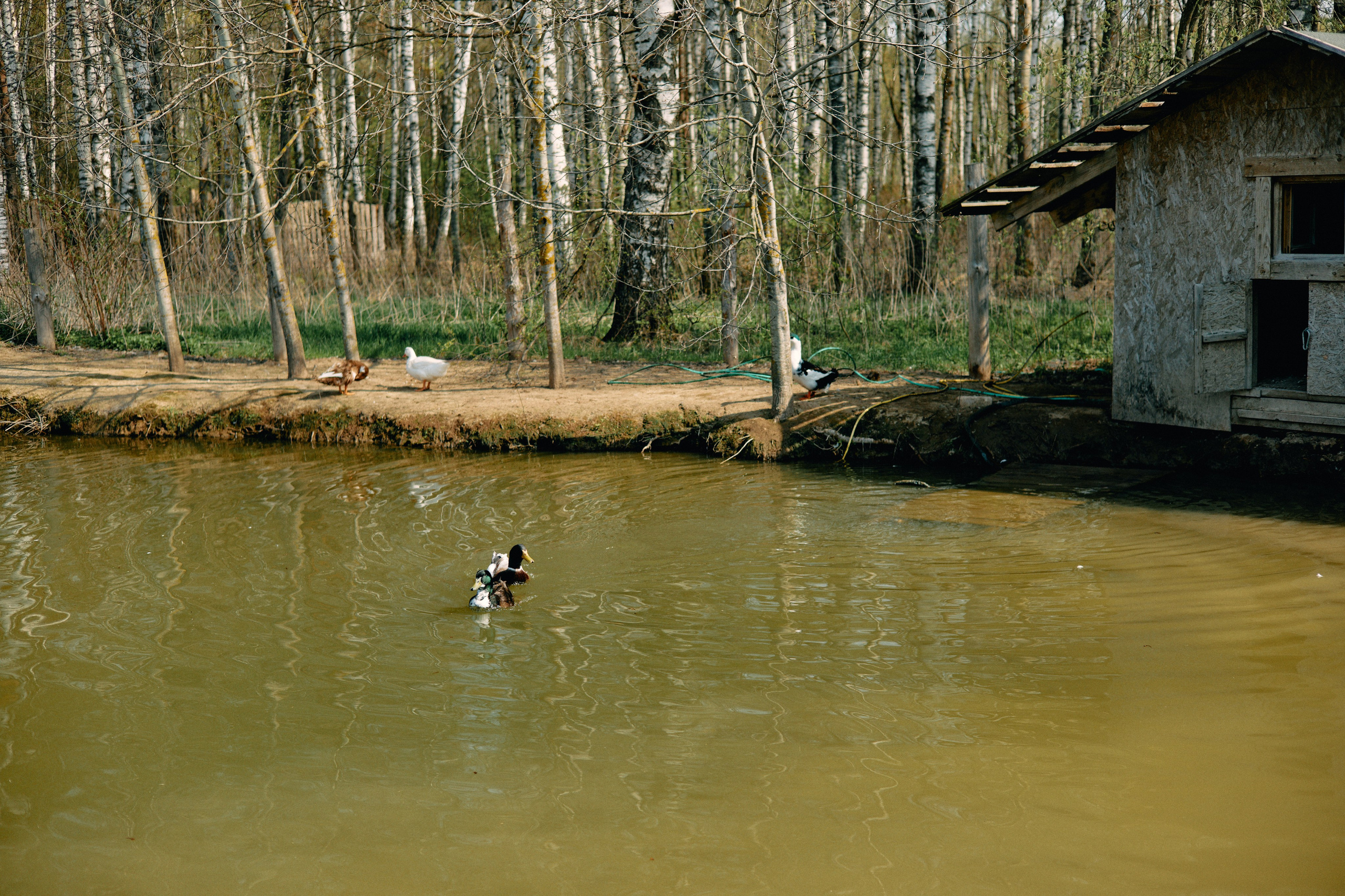Бутик-отель Поле летом. Профессиональный Фотограф во Владимире, в Москве и в Суздале — Полина Романычева