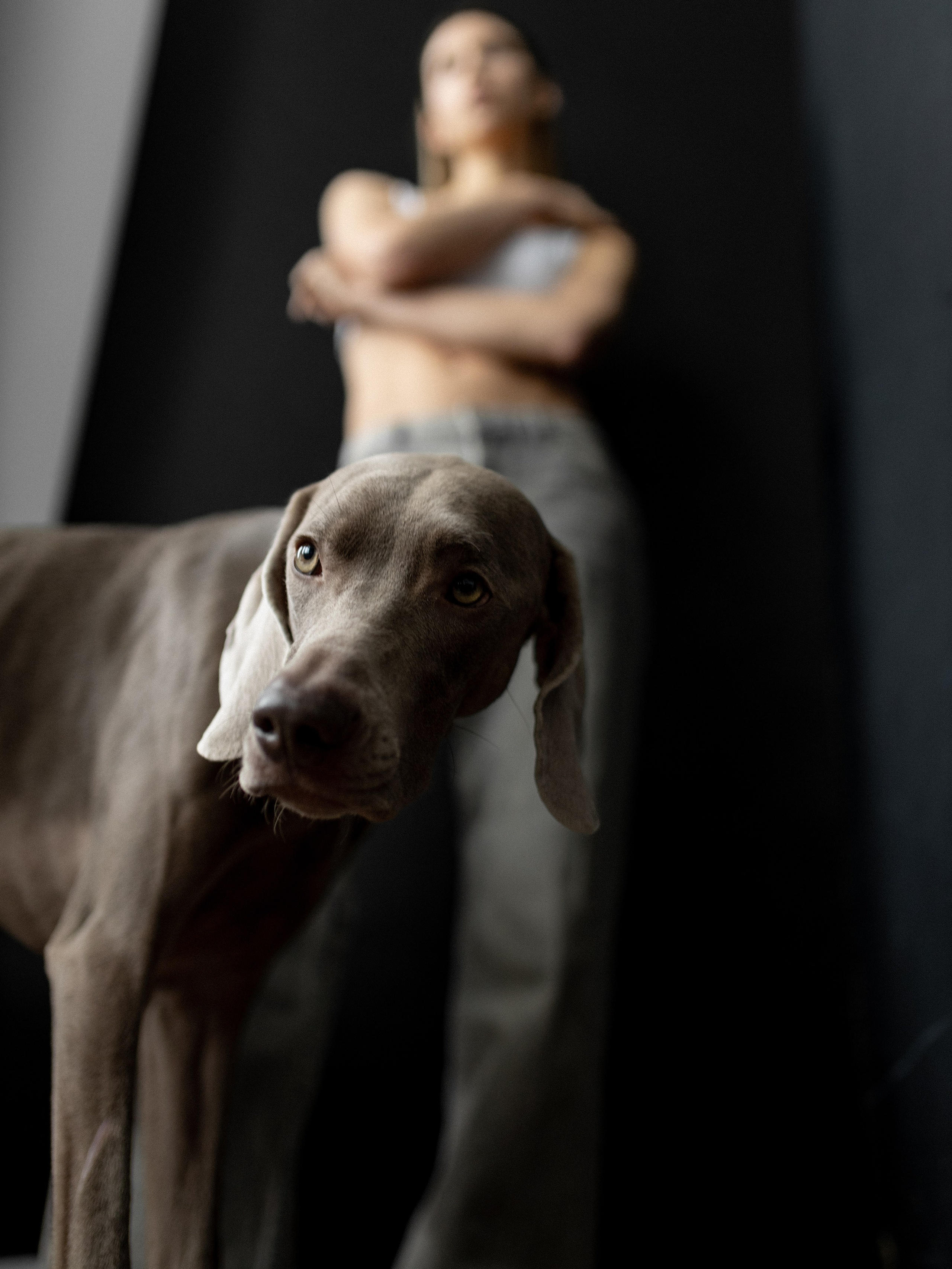 Сенча и Даша. Фотограф-анималист в Москве Кириллова Татьяна